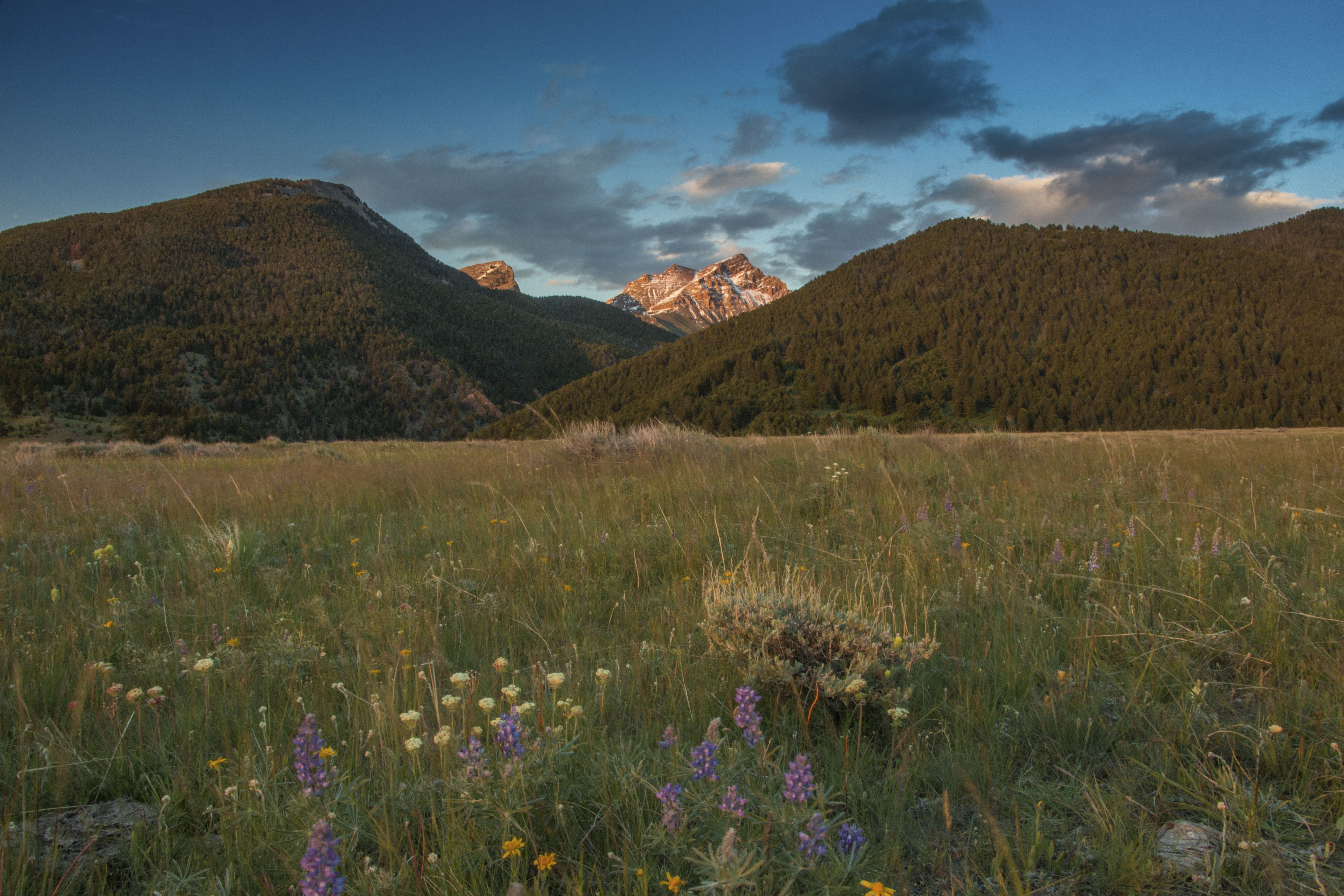 Sphinx Mountain Ranch property picture 39 of 92