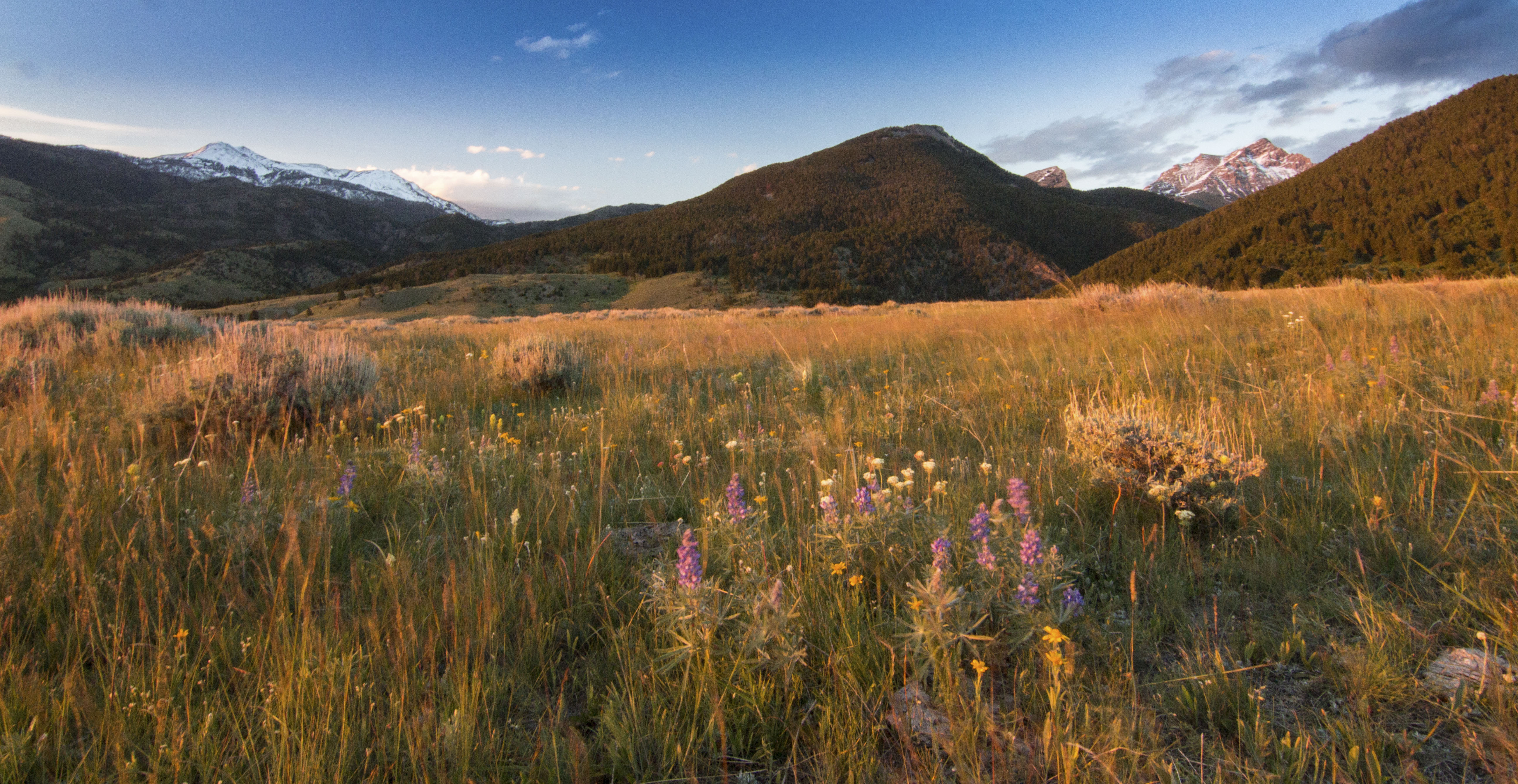 Sphinx Mountain Ranch property picture 38 of 92