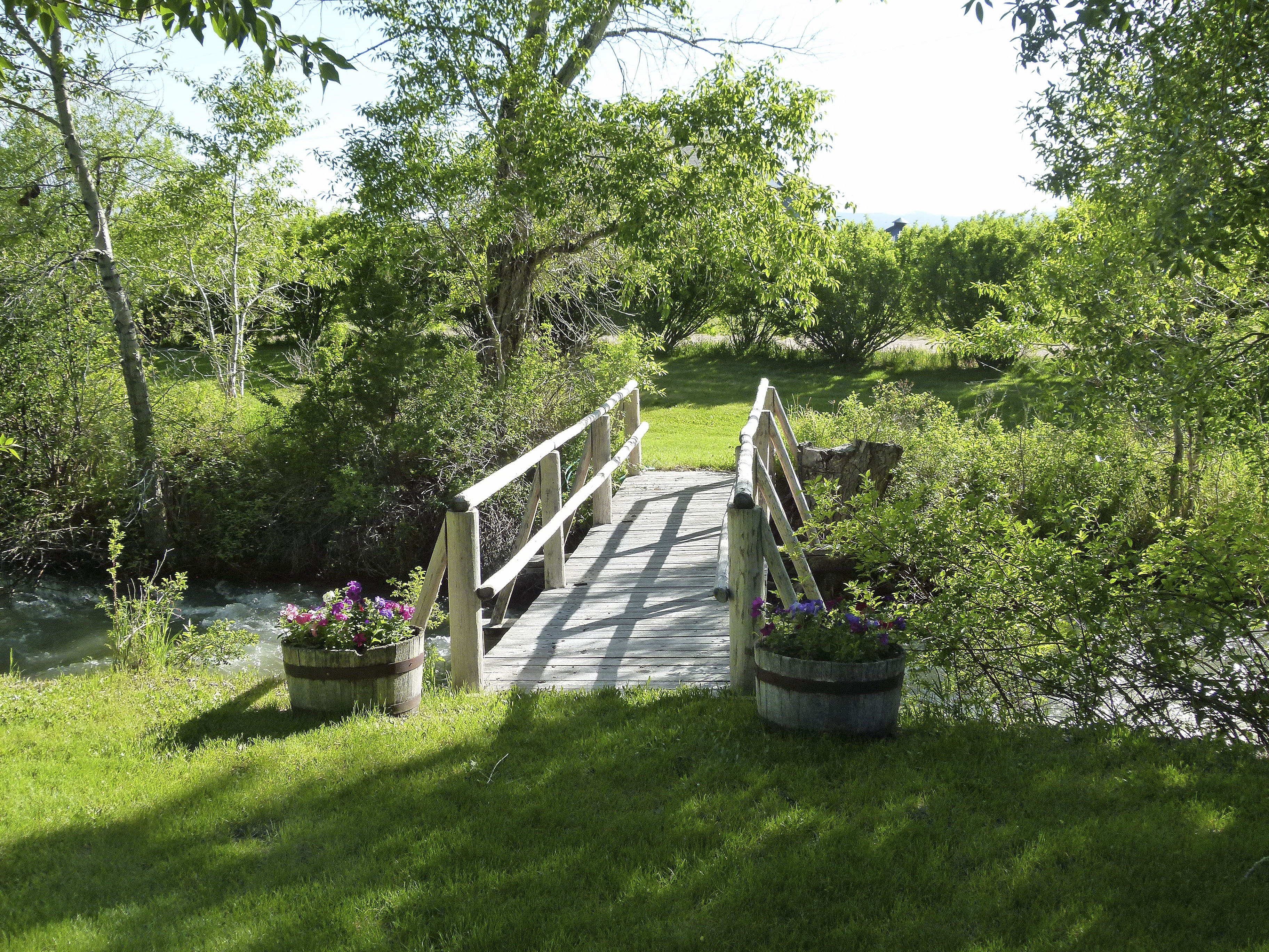 Sphinx Mountain Ranch property picture 35 of 92