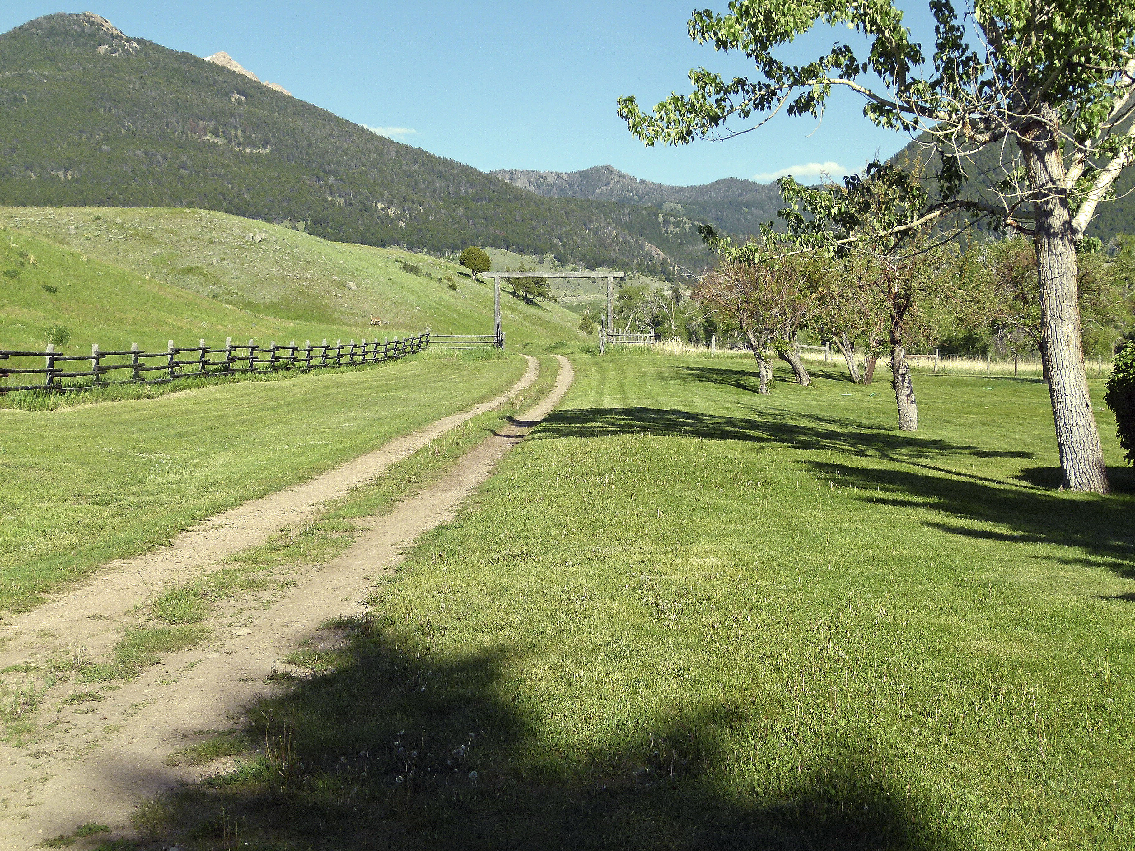 Sphinx Mountain Ranch property picture 34 of 92