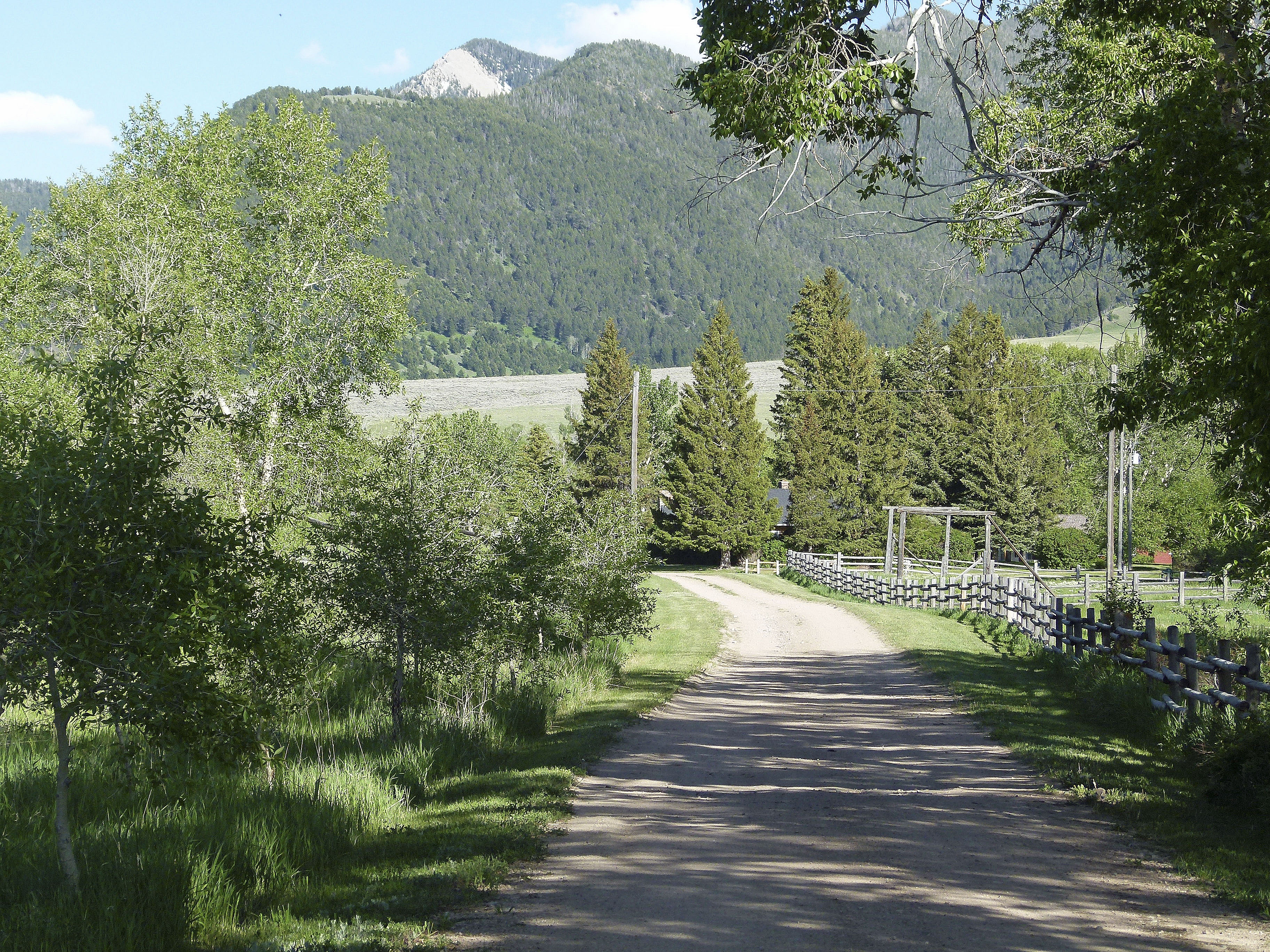Sphinx Mountain Ranch property picture 33 of 92