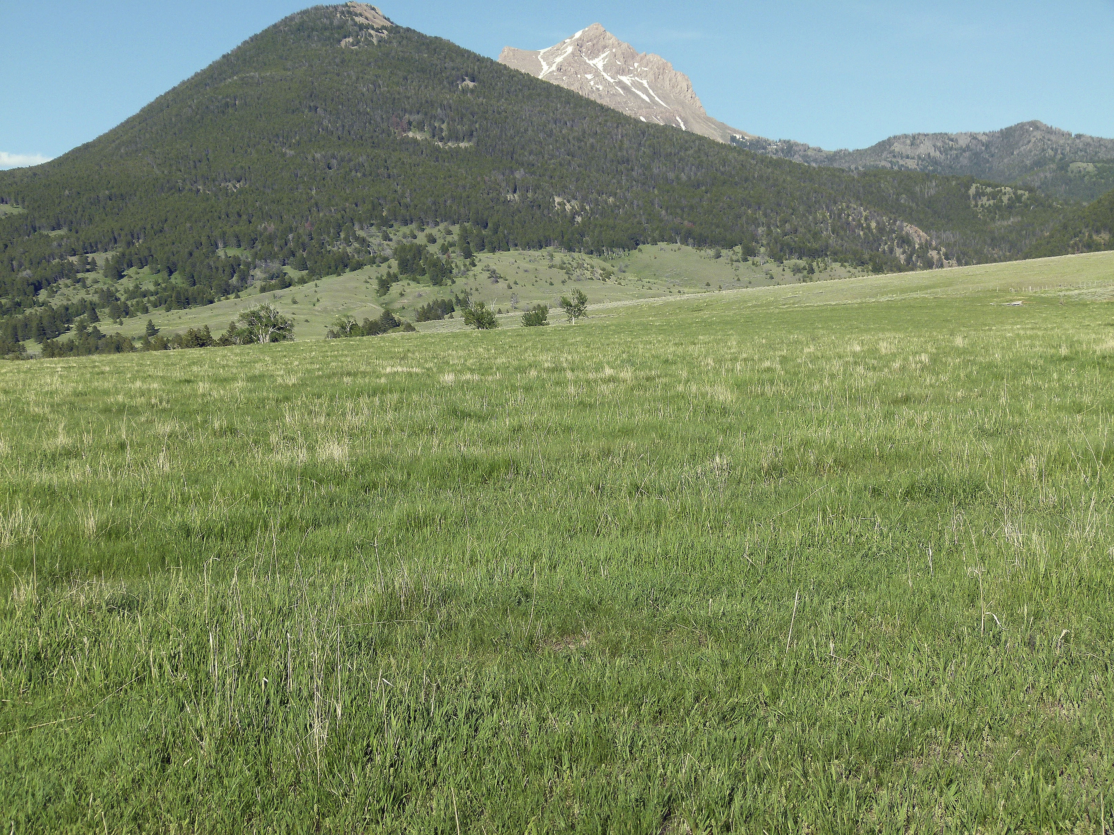 Sphinx Mountain Ranch property picture 23 of 92