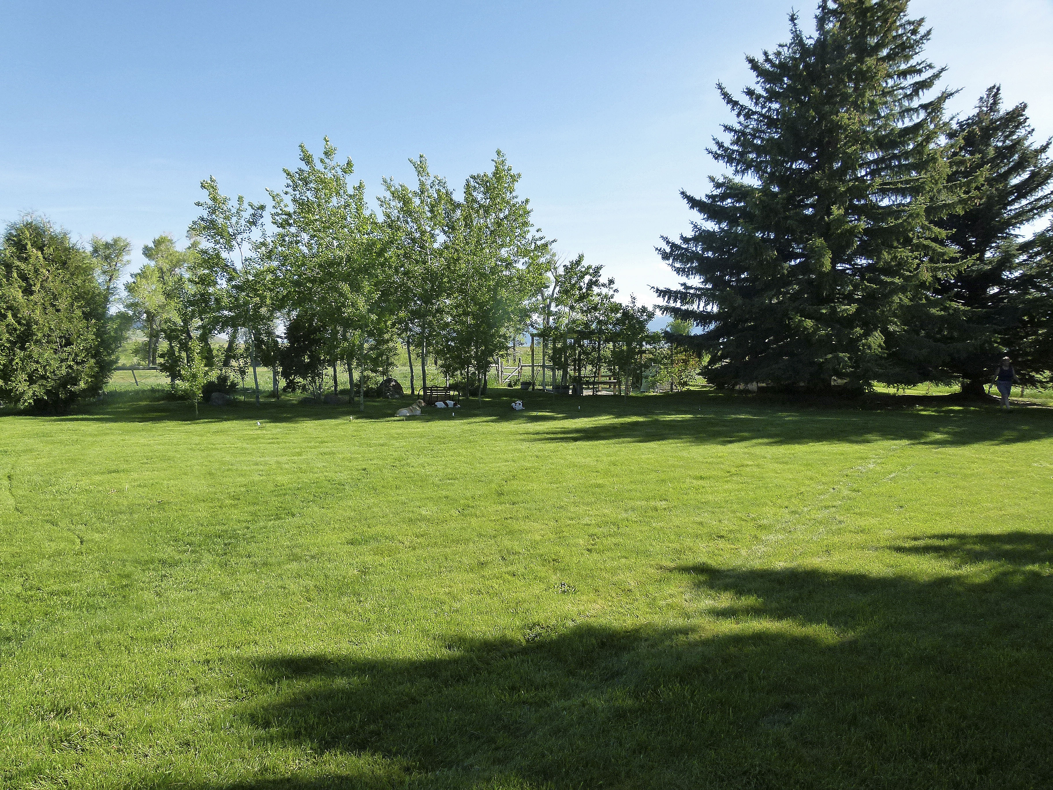 Sphinx Mountain Ranch property picture 16 of 92