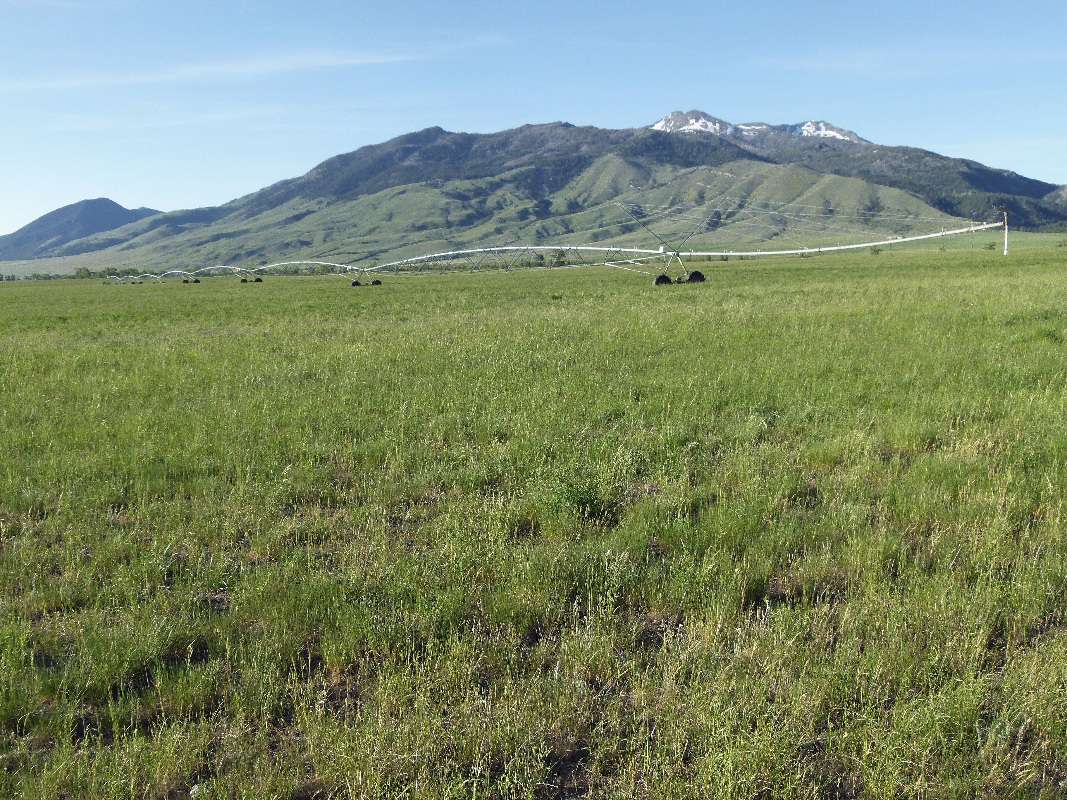 Sphinx Mountain Ranch property picture 12 of 92