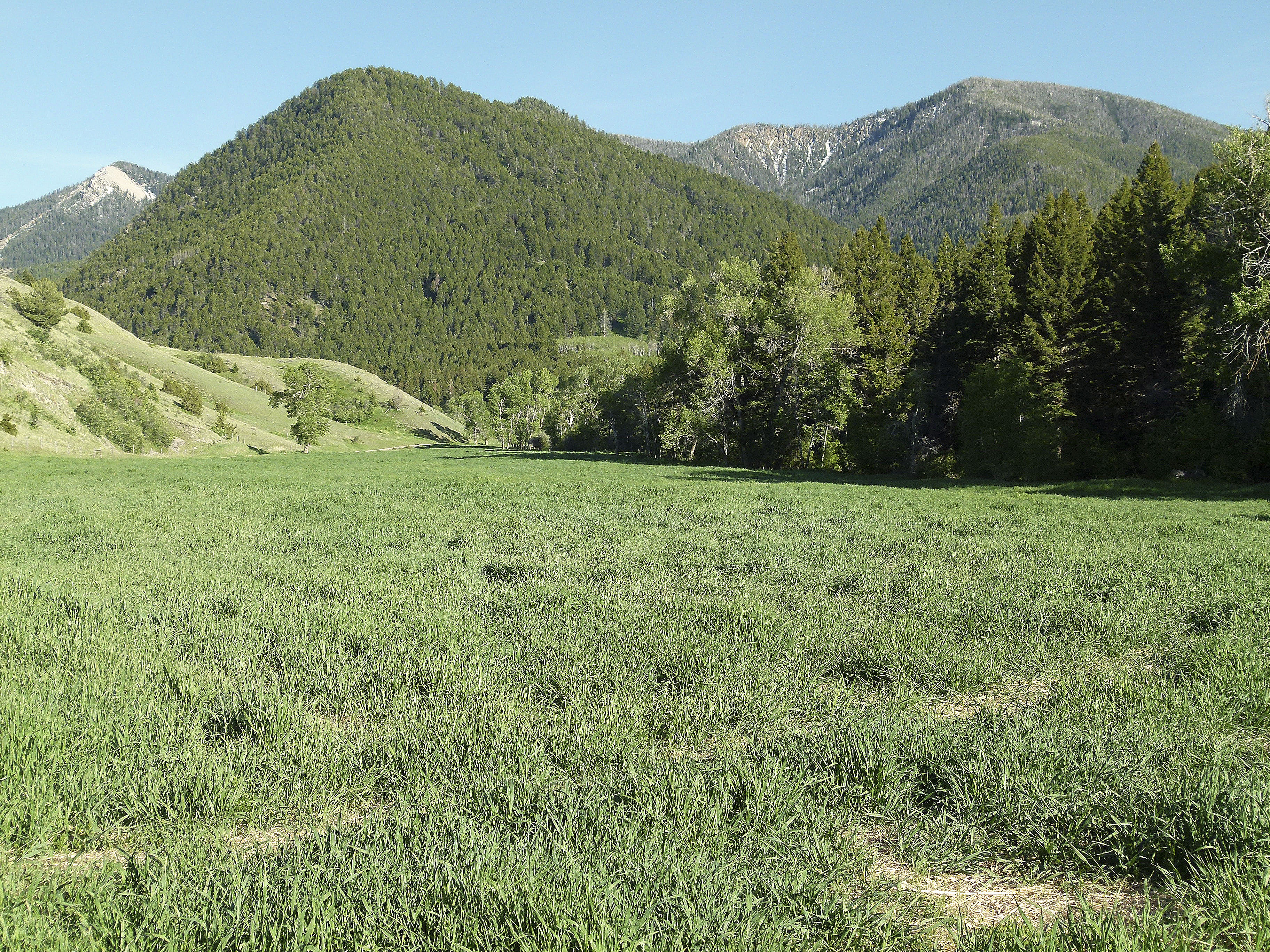 Sphinx Mountain Ranch property picture 9 of 92