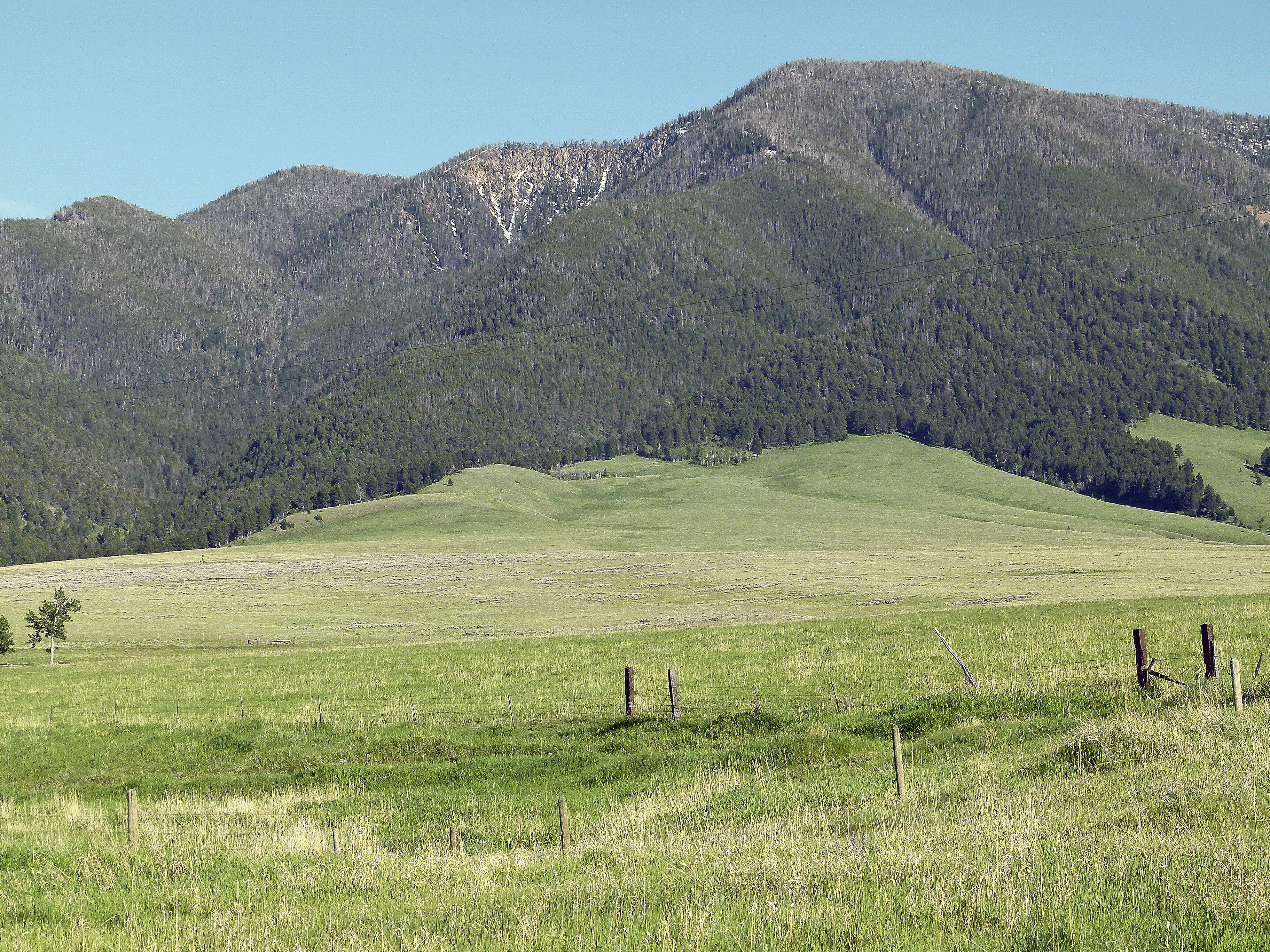 Sphinx Mountain Ranch property picture 6 of 92