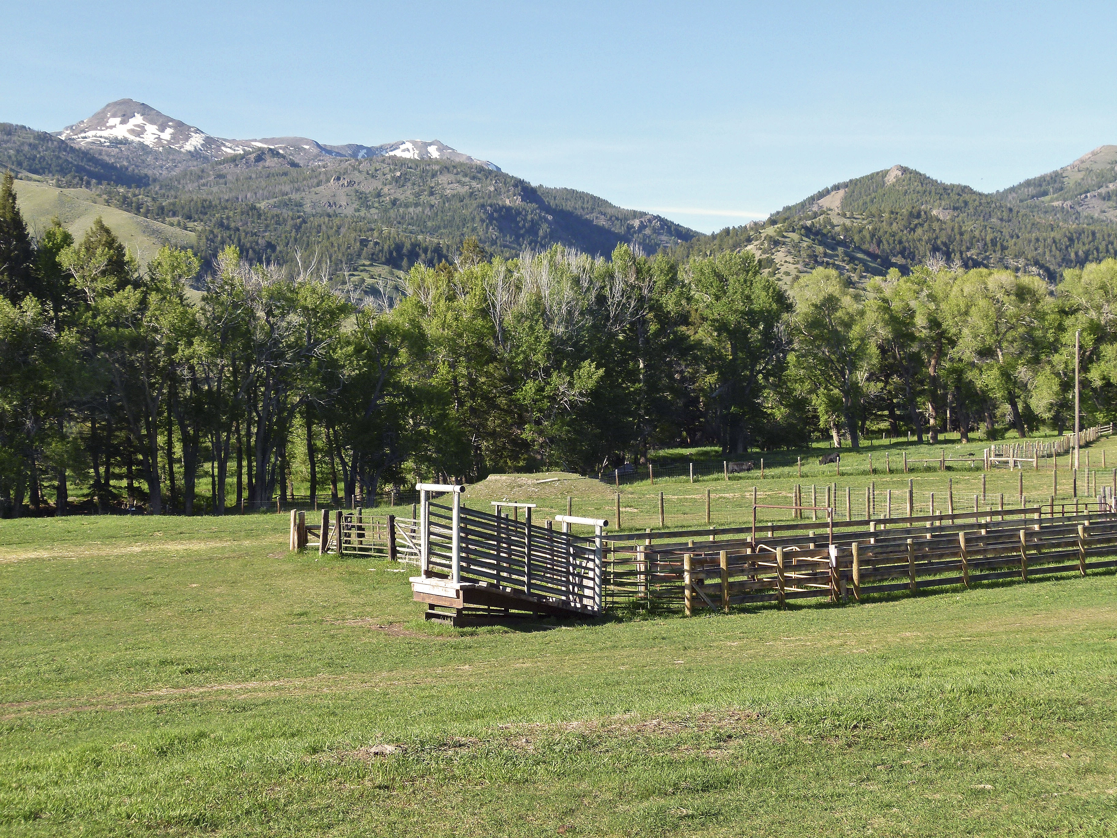 Sphinx Mountain Ranch property picture 2 of 92