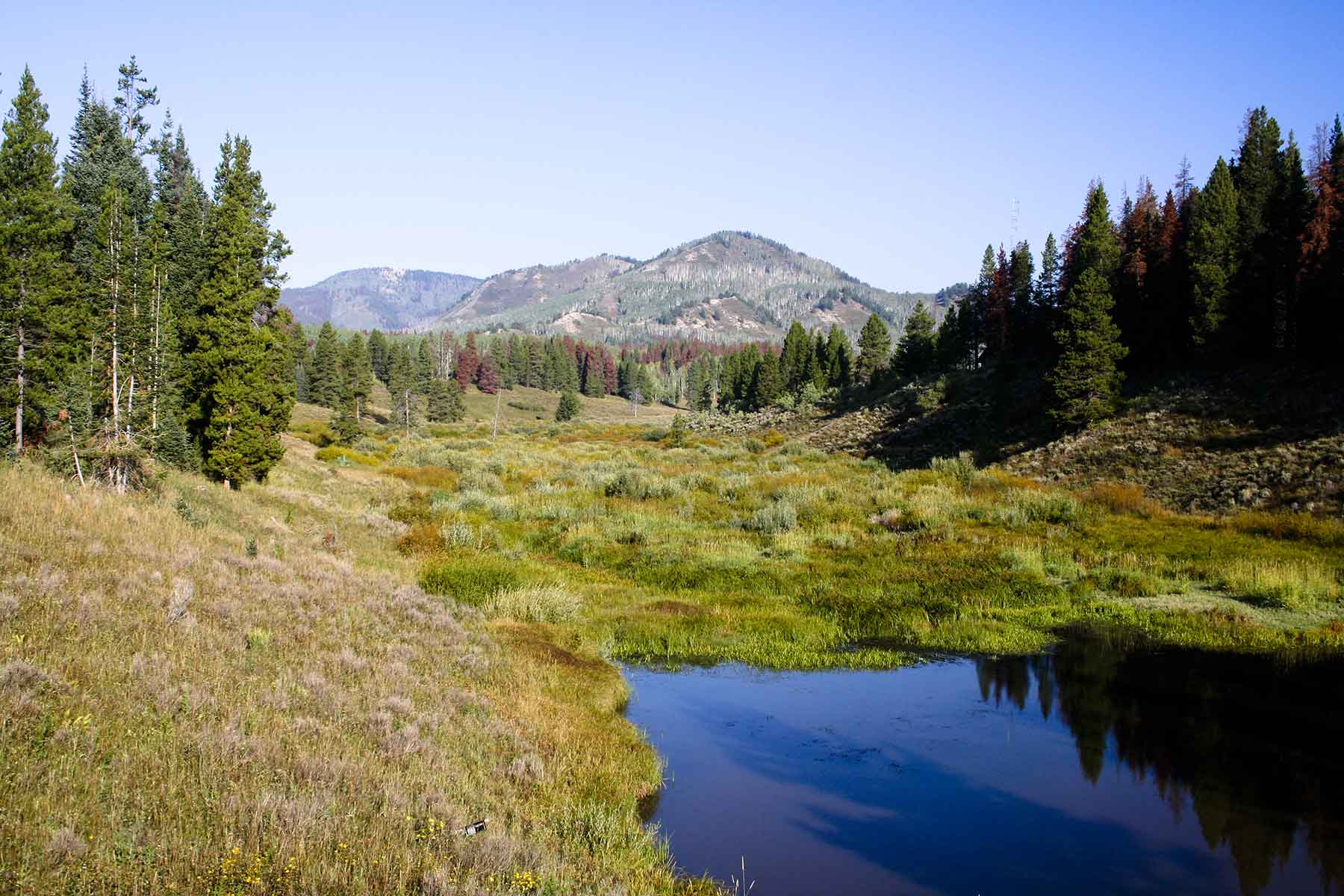 Snowy Mountain Ranch property picture 46 of 91