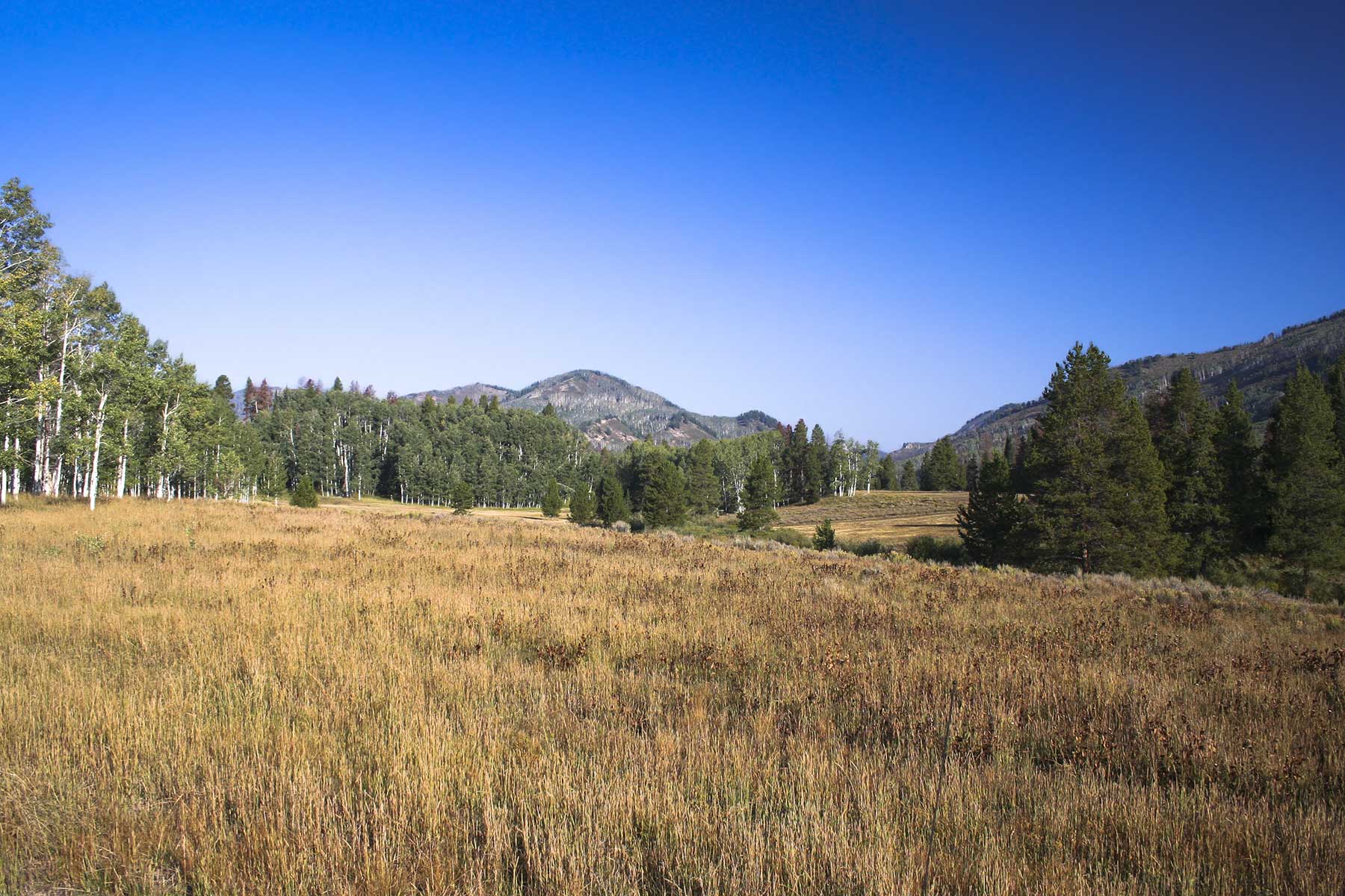 Snowy Mountain Ranch property picture 42 of 91