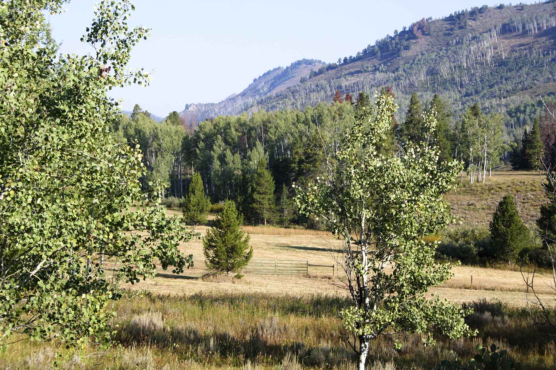 Snowy Mountain Ranch property picture 47 of 91