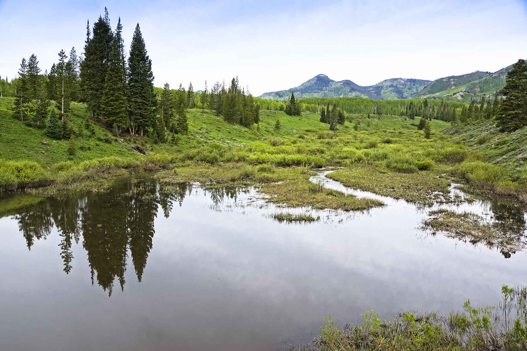 Snowy Mountain Ranch property picture 21 of 91