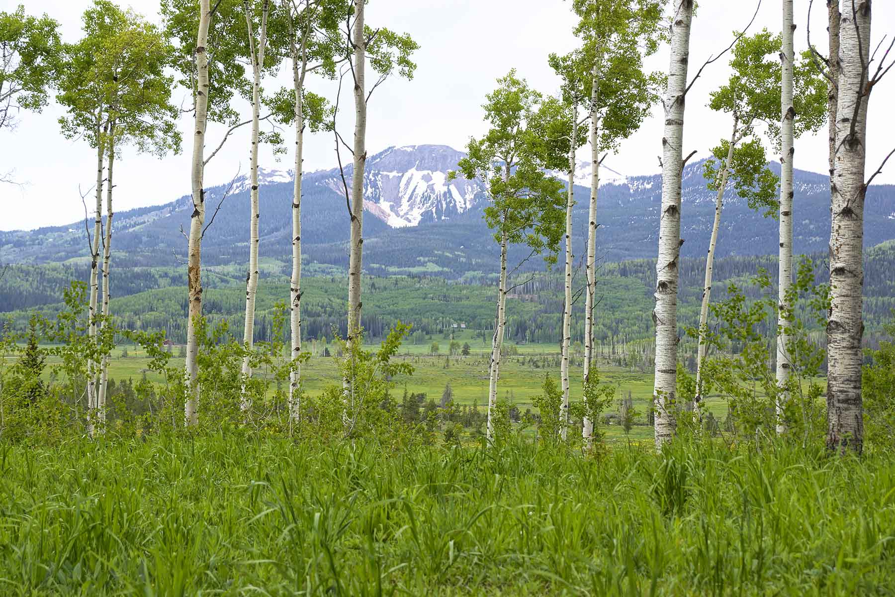 Snowy Mountain Ranch property picture 25 of 91