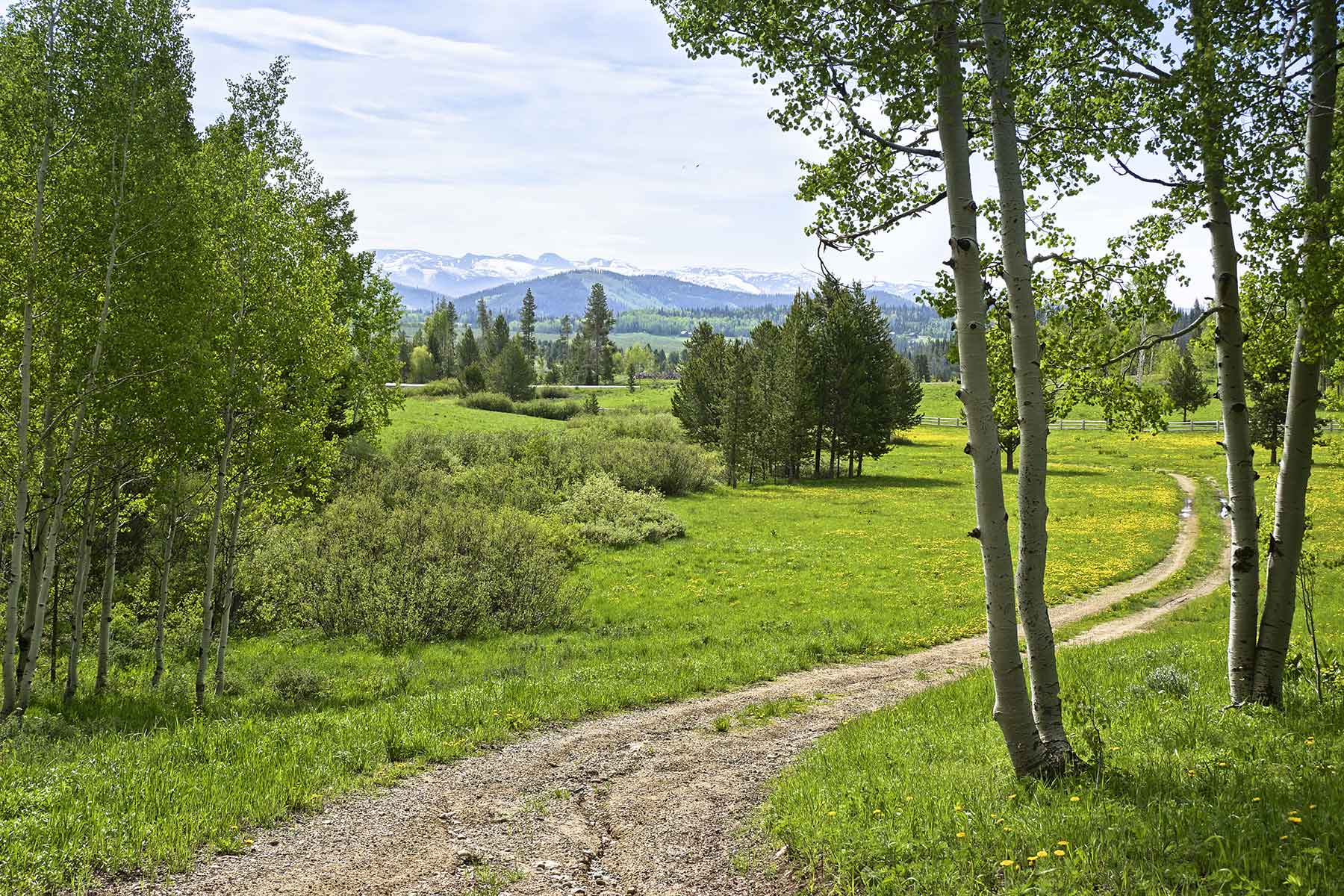 Snowy Mountain Ranch property picture 26 of 91