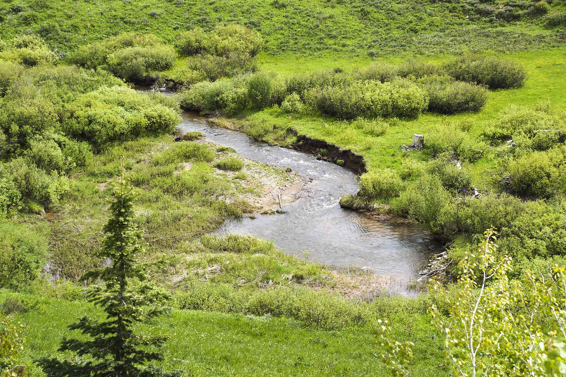 Snowy Mountain Ranch property picture 23 of 91