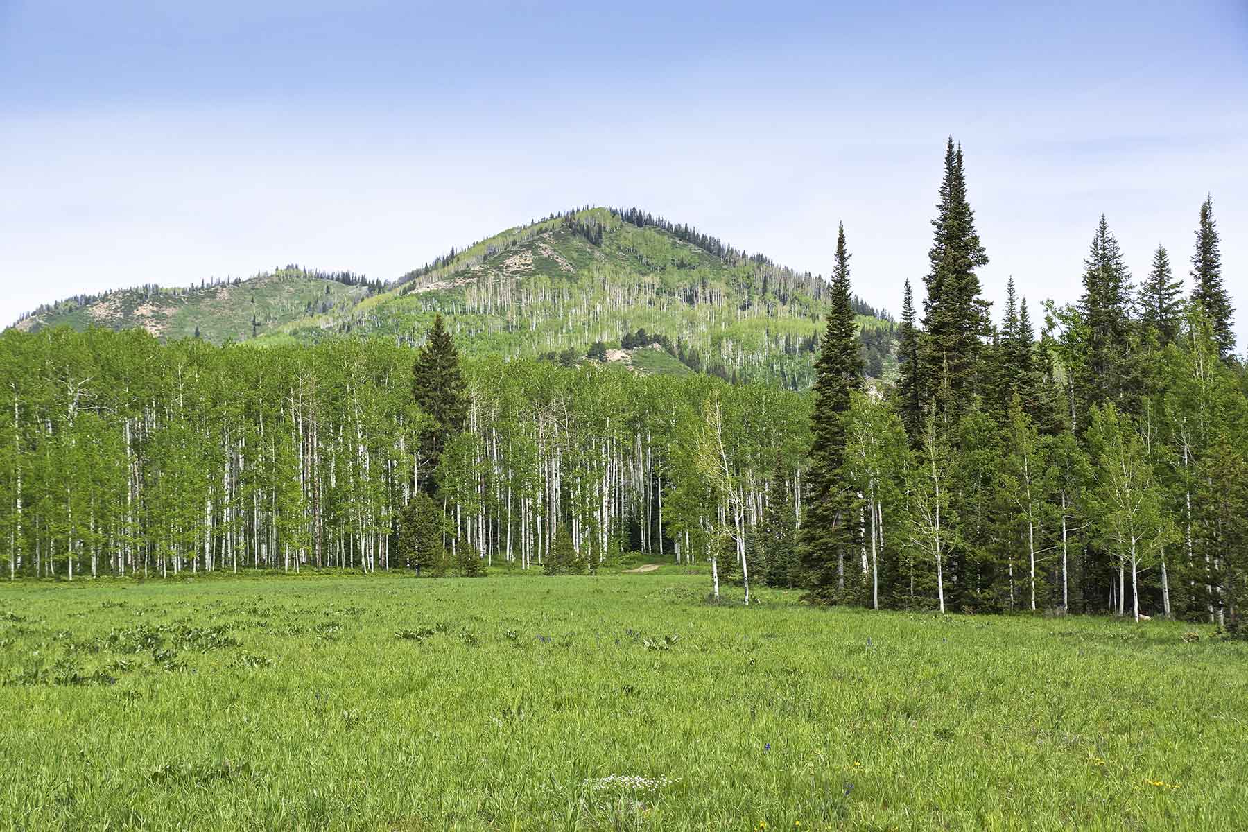 Snowy Mountain Ranch property picture 33 of 91