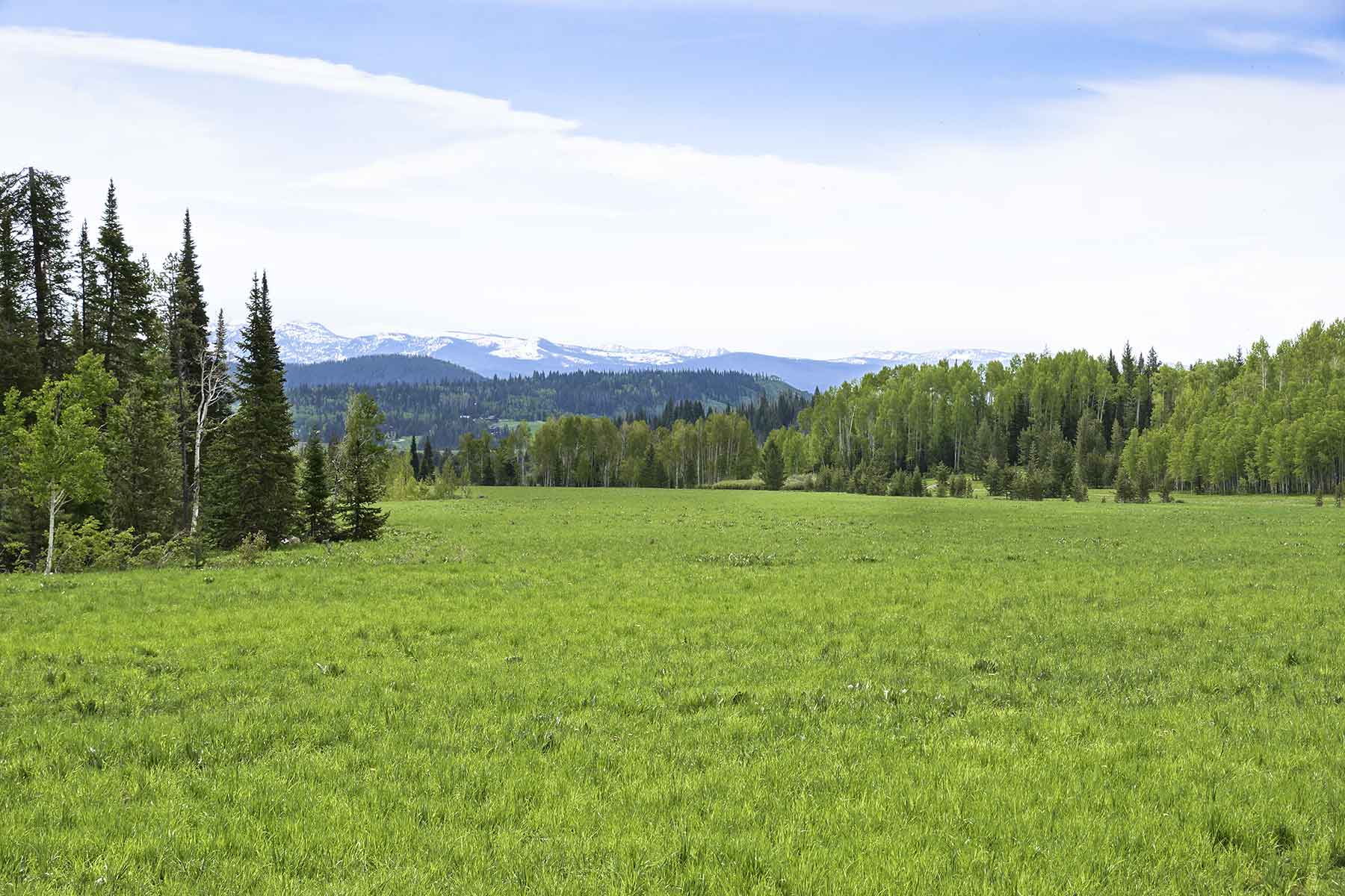 Snowy Mountain Ranch property picture 31 of 91