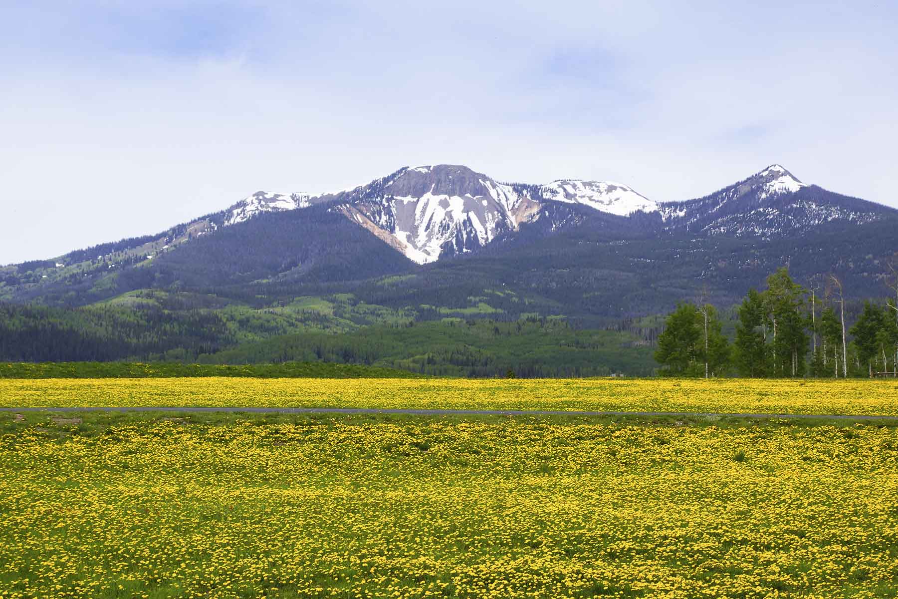 Snowy Mountain Ranch property picture 41 of 91