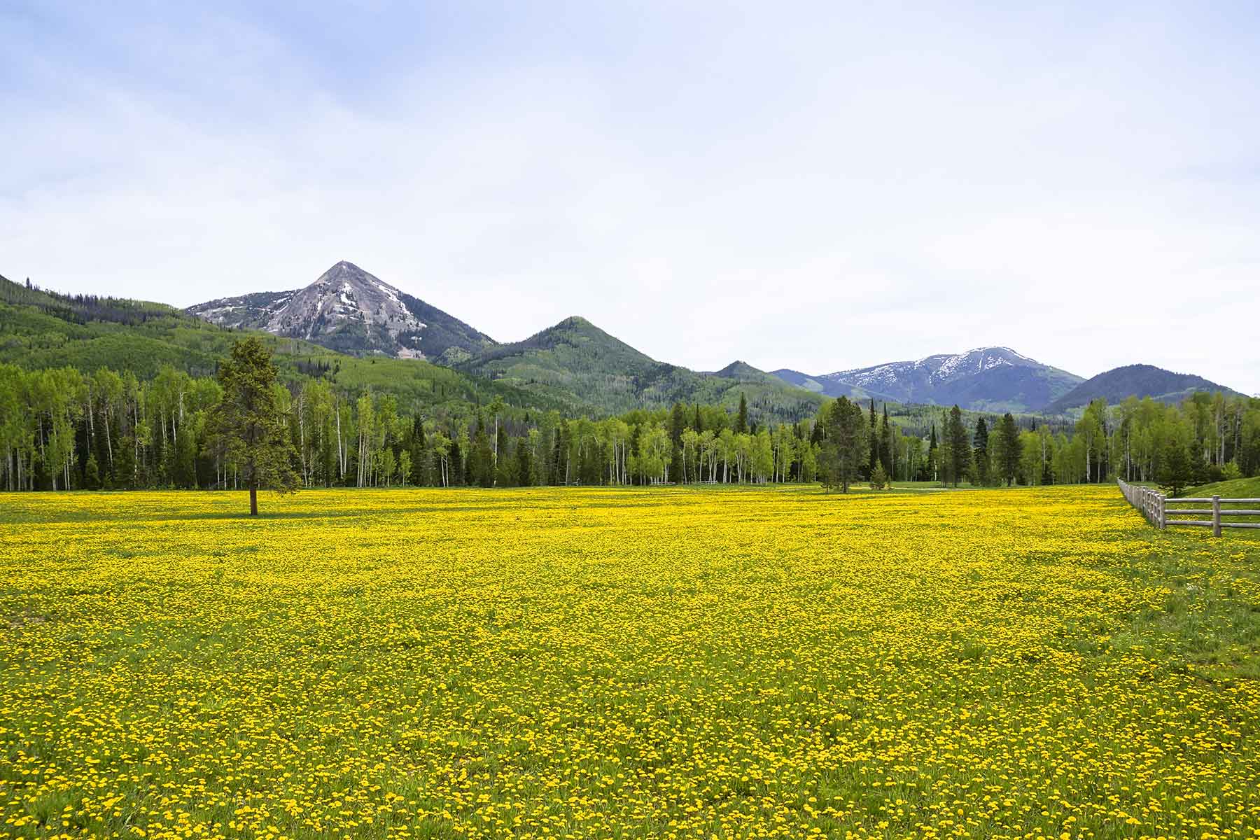 Snowy Mountain Ranch property picture 53 of 91