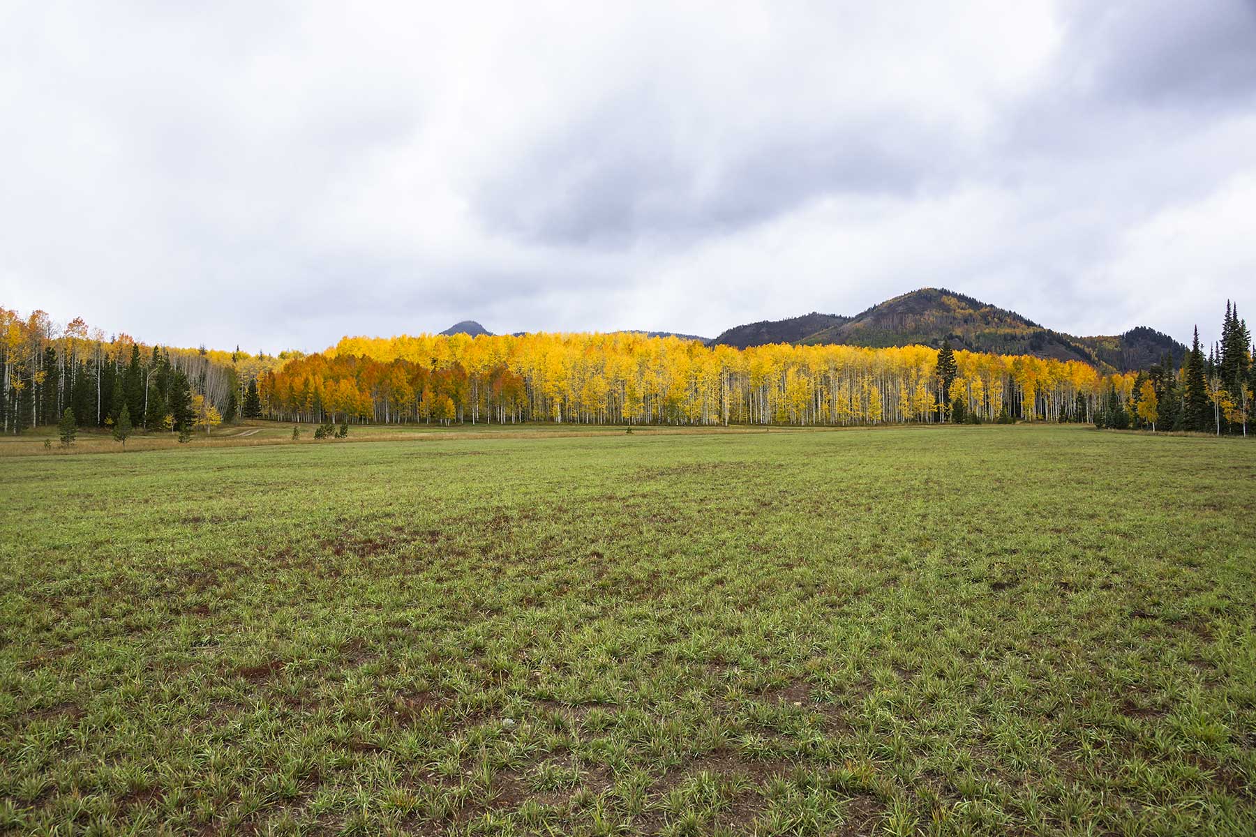 Snowy Mountain Ranch property picture 86 of 91