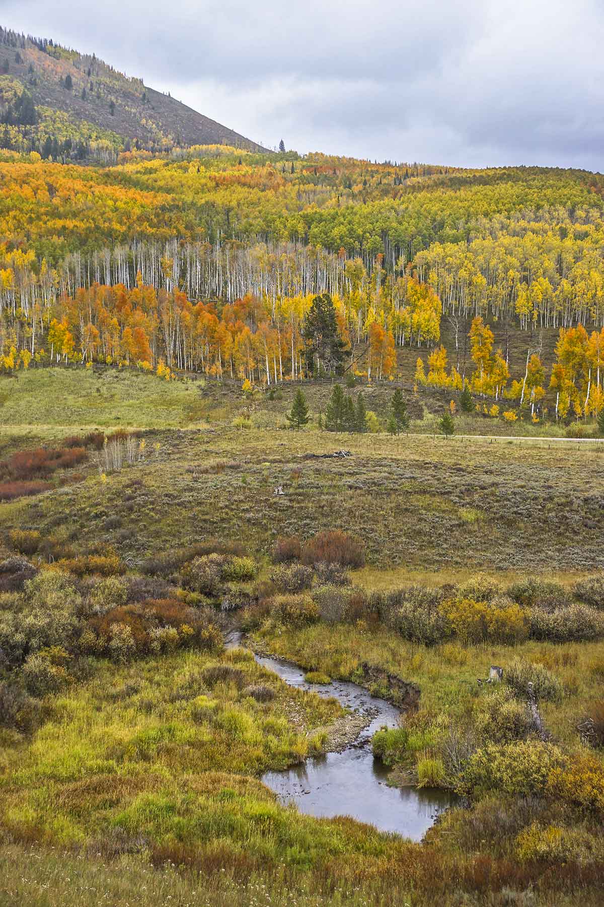 Snowy Mountain Ranch property picture 22 of 91