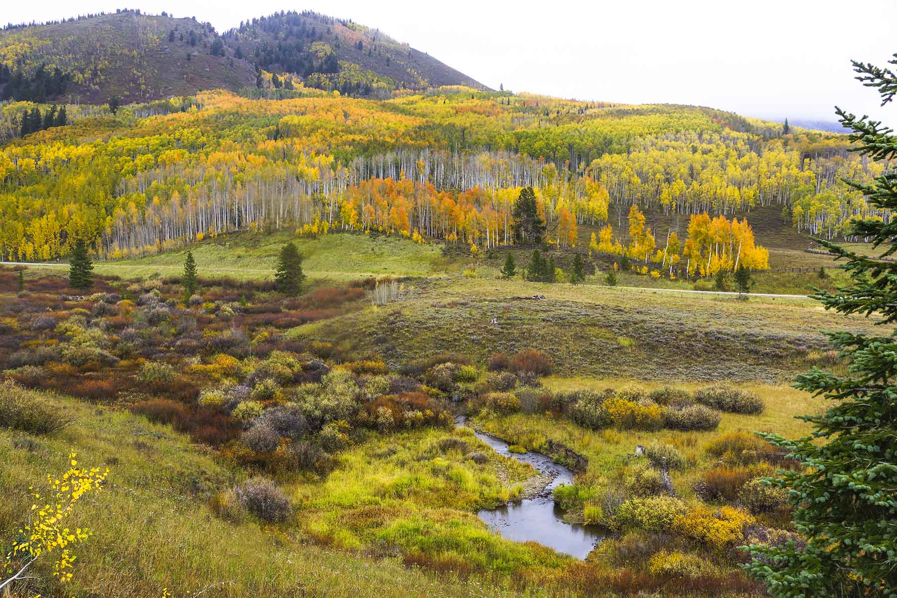 Snowy Mountain Ranch property picture 87 of 91