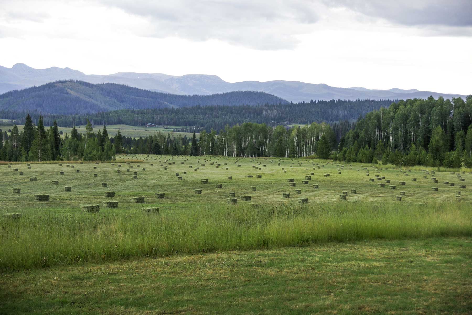 Snowy Mountain Ranch property picture 84 of 91