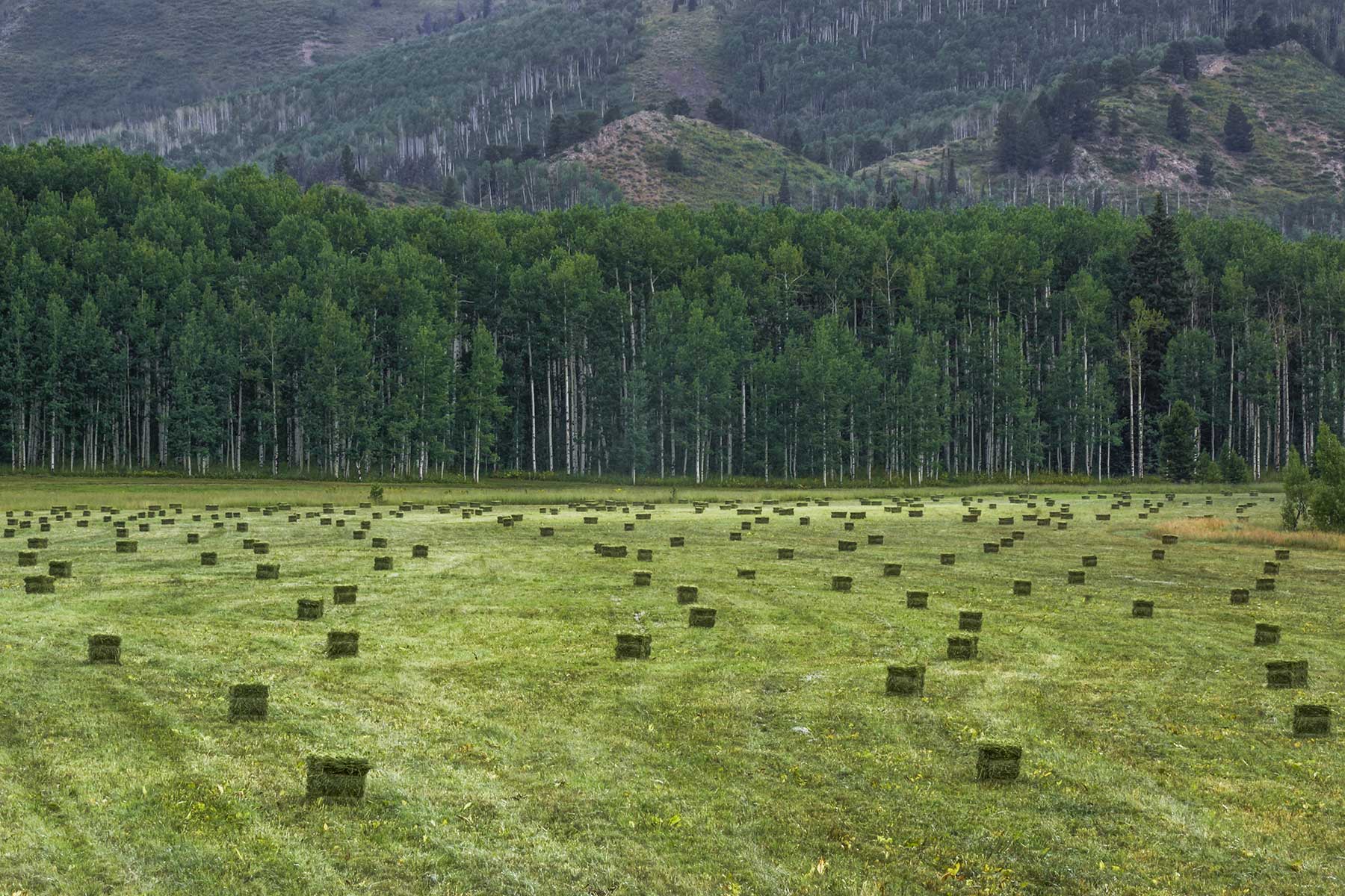 Snowy Mountain Ranch property picture 11 of 91