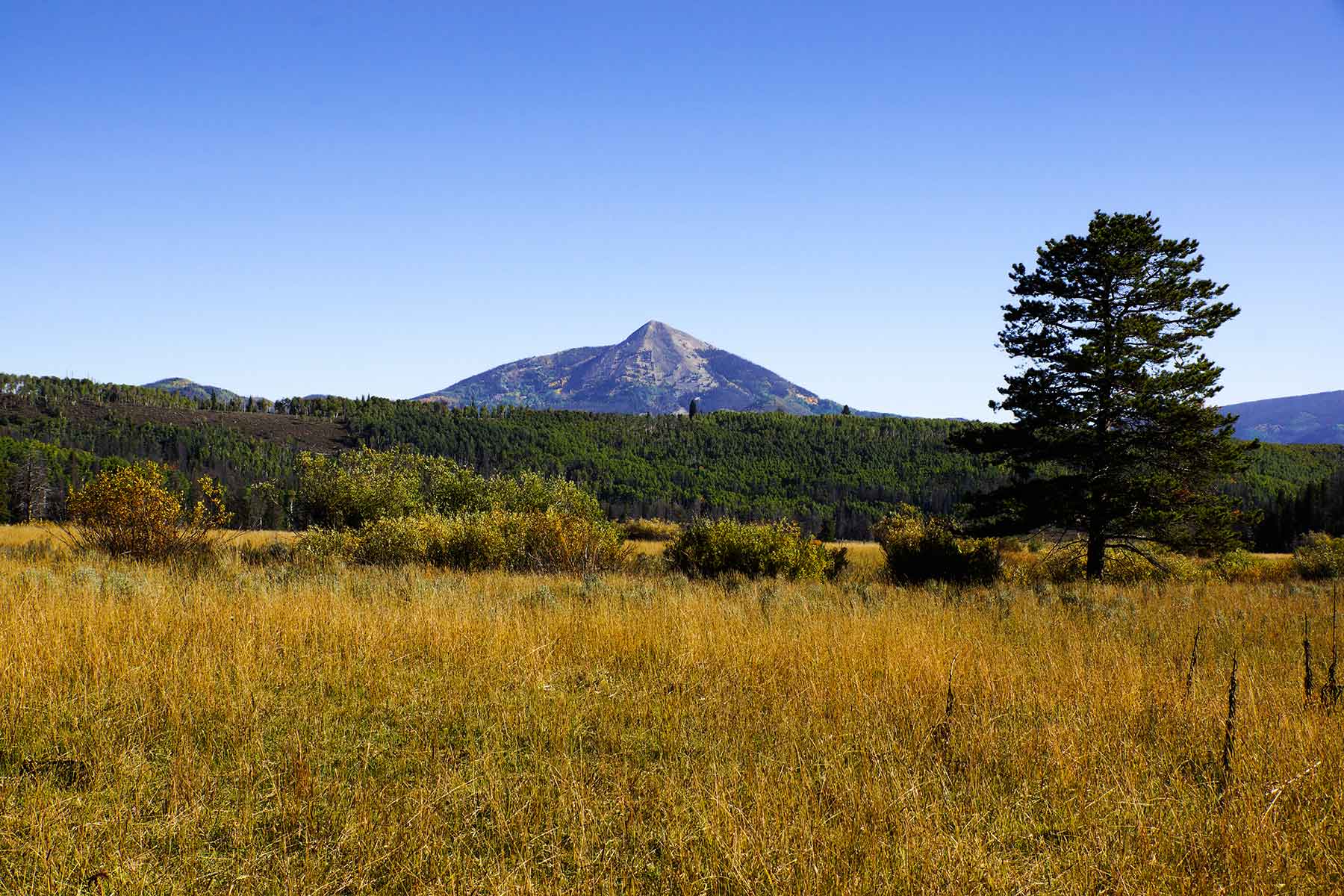 Sand Mountain Retreat property picture 21 of 23