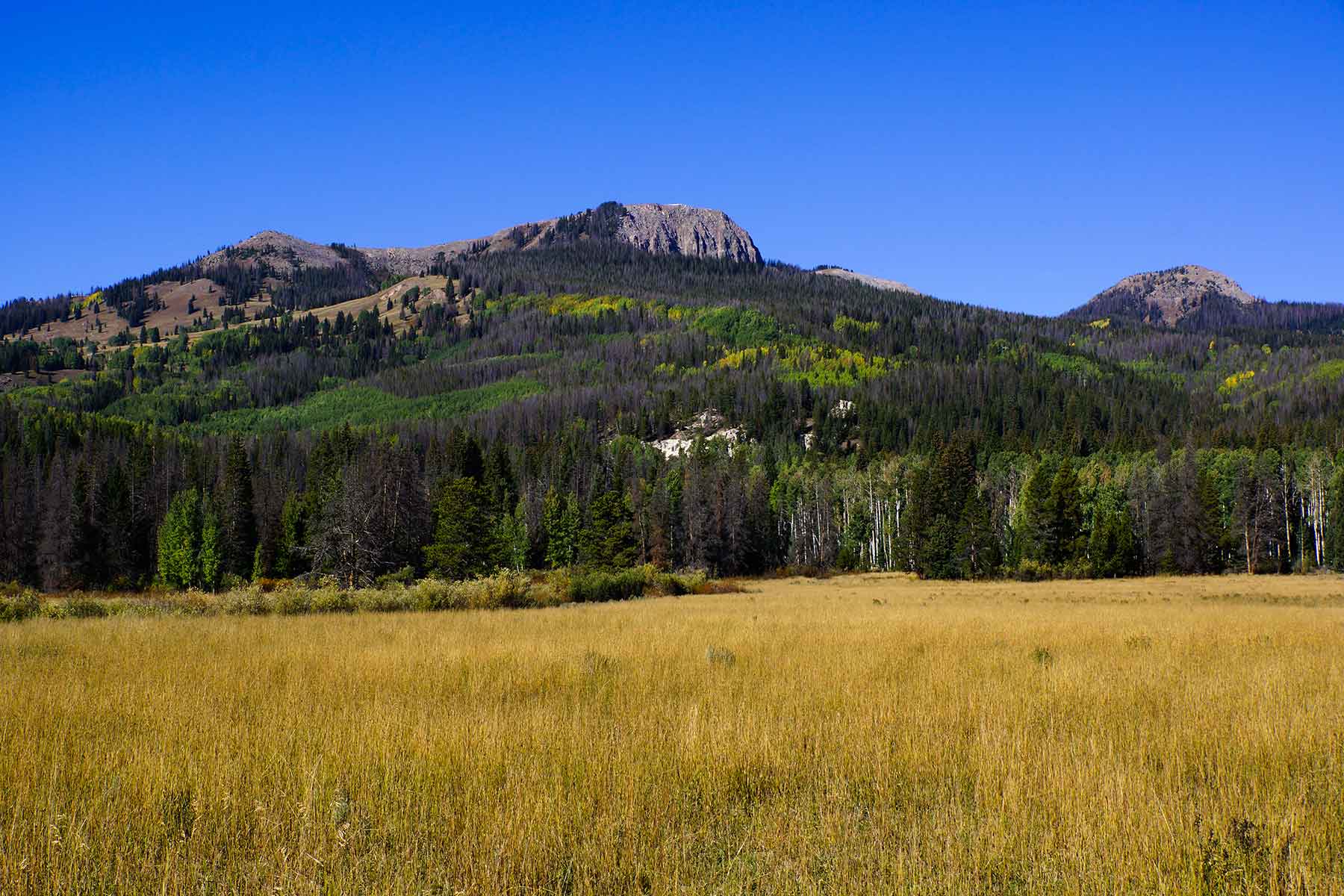 Sand Mountain Retreat property picture 17 of 23