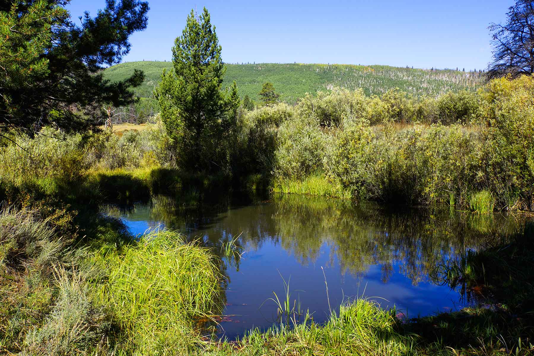 Sand Mountain Retreat property picture 10 of 23