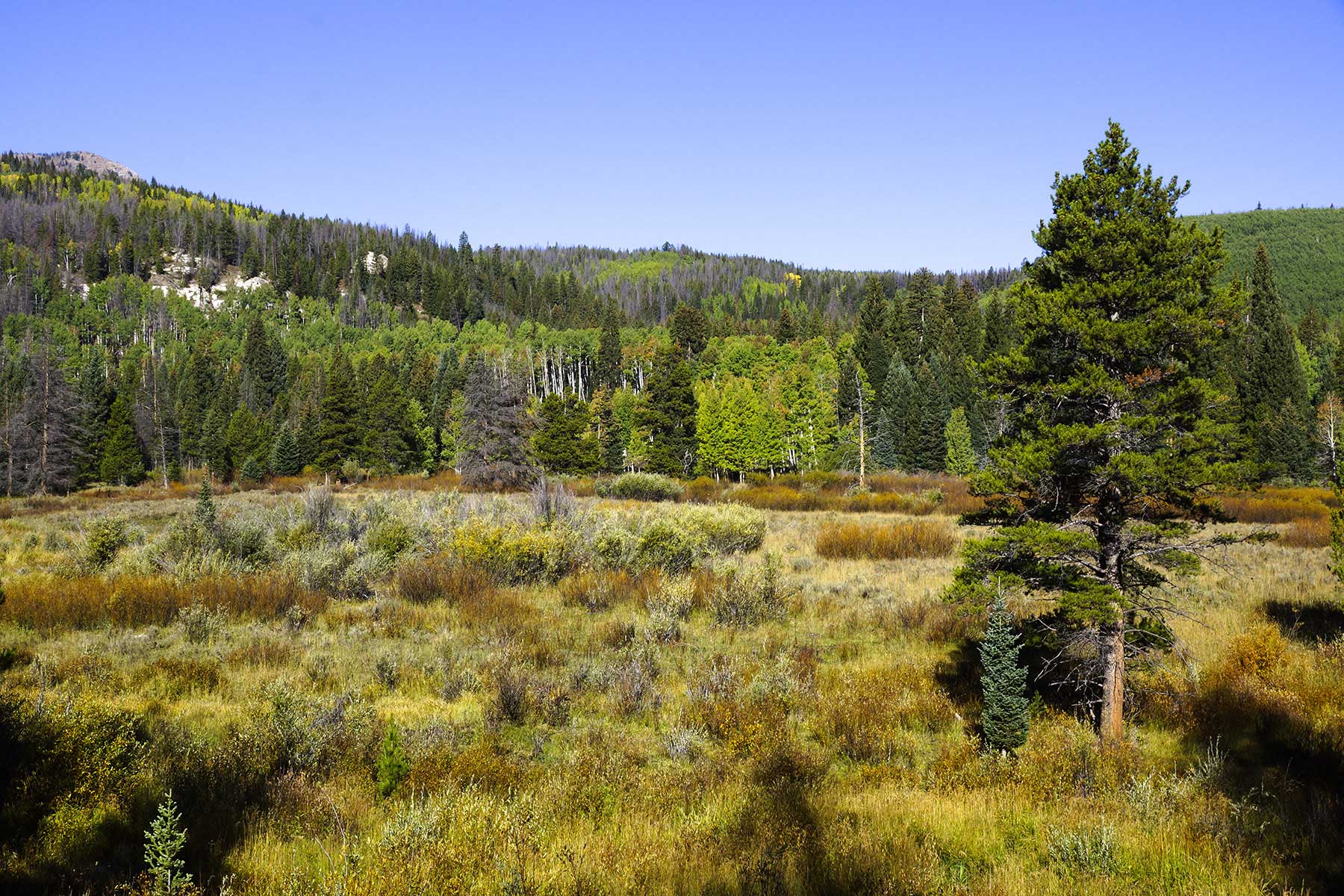 Sand Mountain Retreat property picture 11 of 23