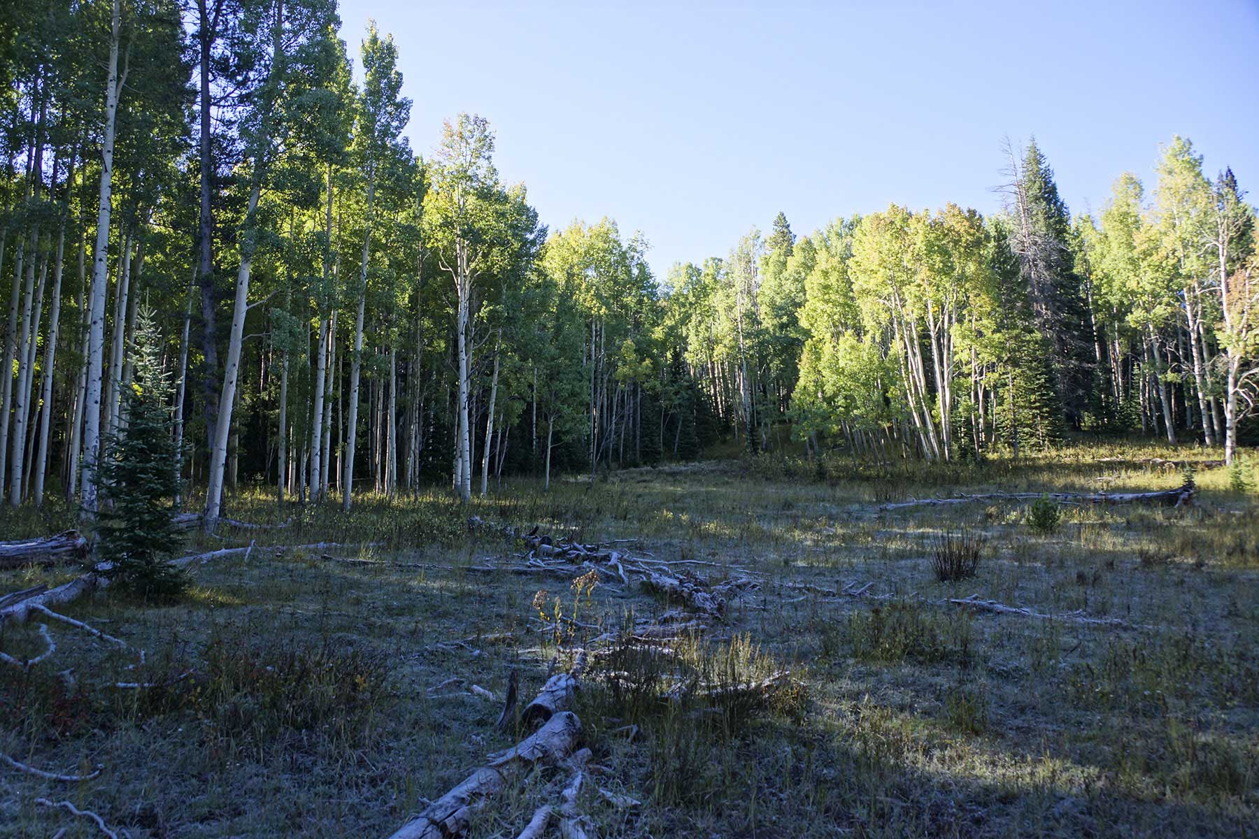 Sand Mountain Retreat property picture 22 of 23