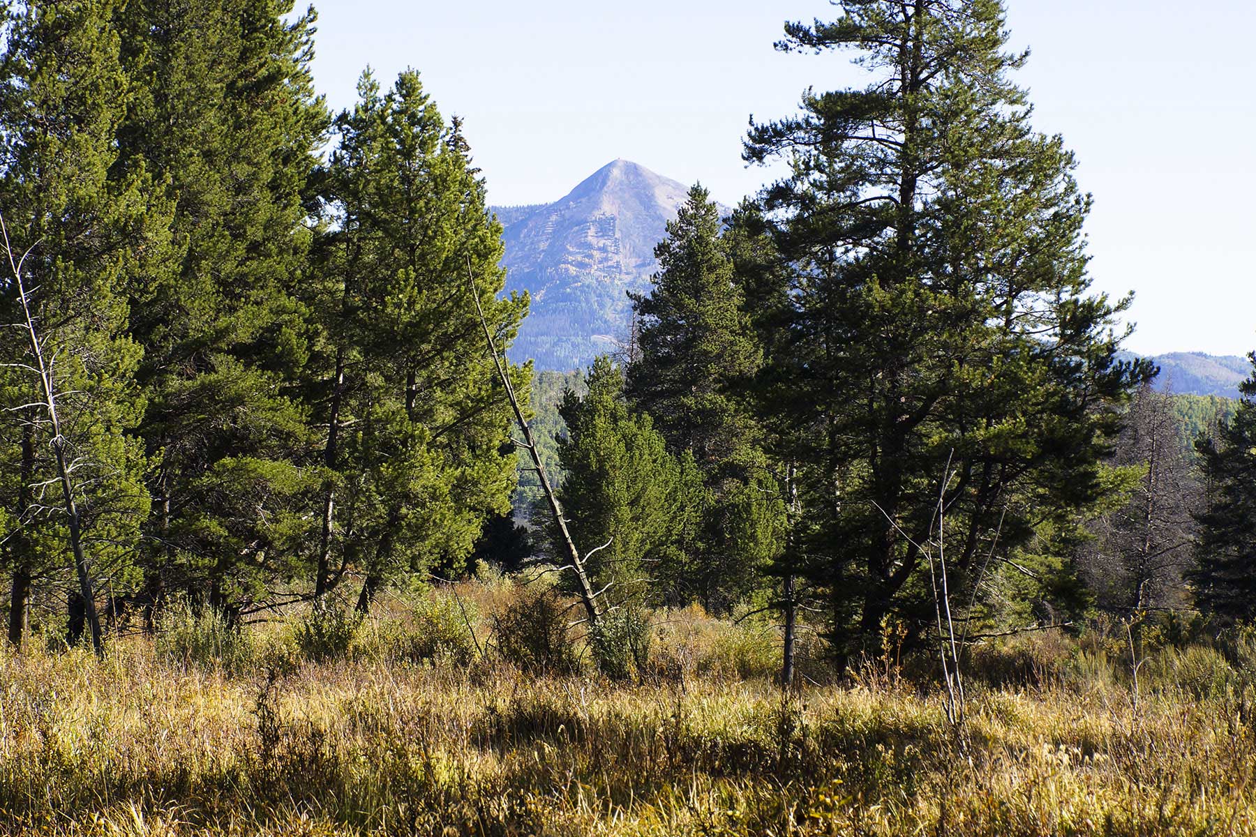 Sand Mountain Retreat property picture 13 of 23