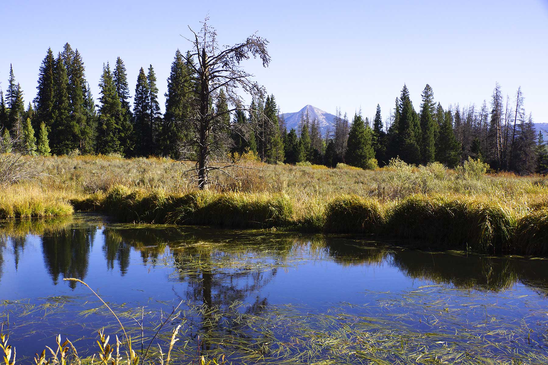 Sand Mountain Retreat property picture 15 of 23