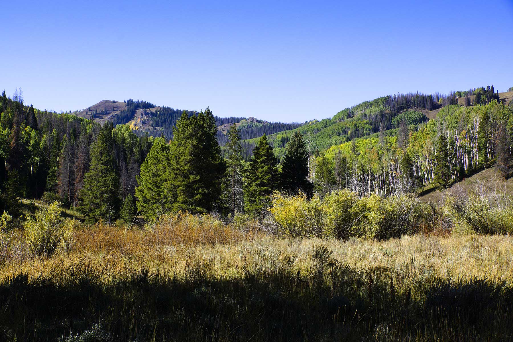 Sand Mountain Retreat property picture 14 of 23