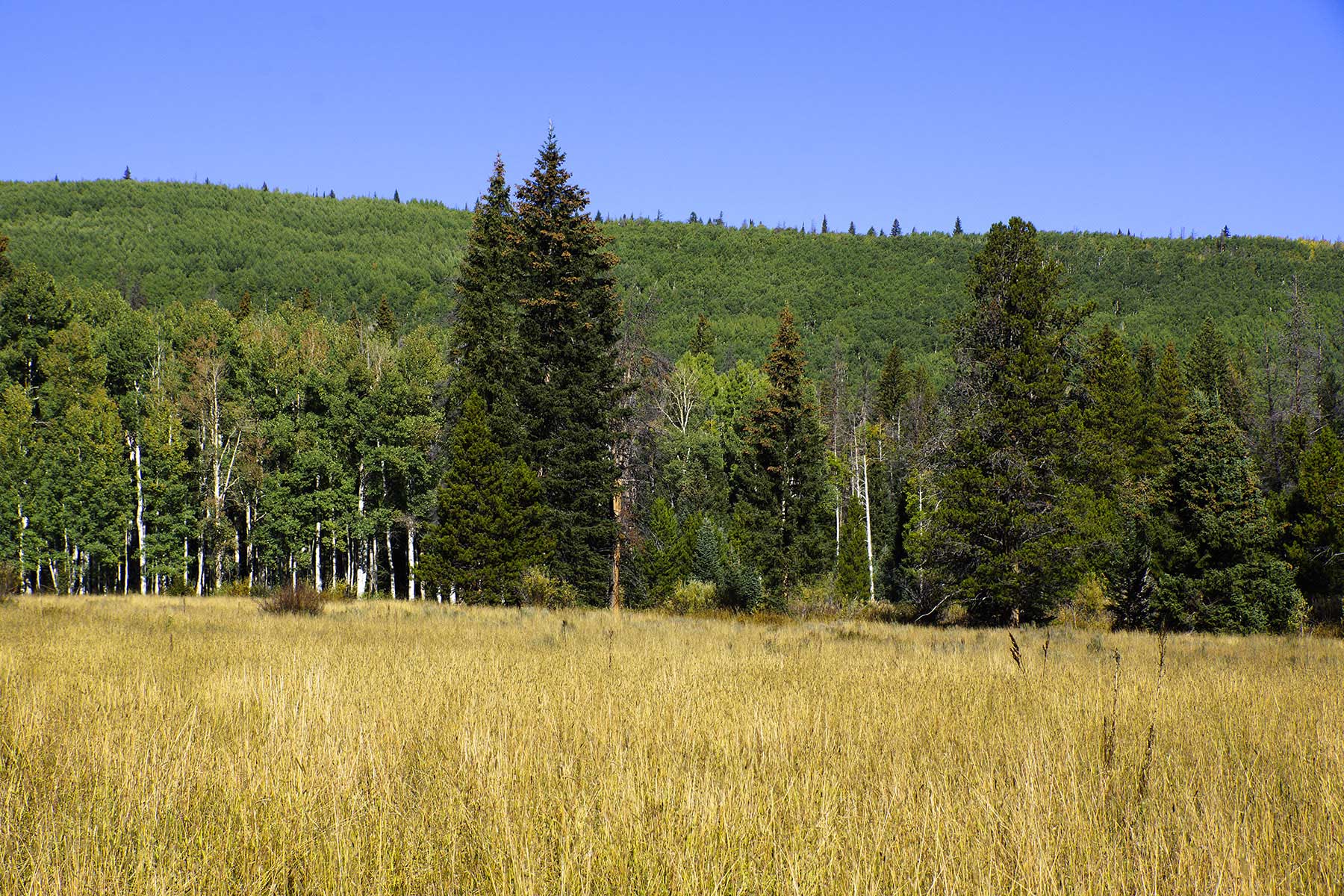 Sand Mountain Retreat property picture 6 of 23