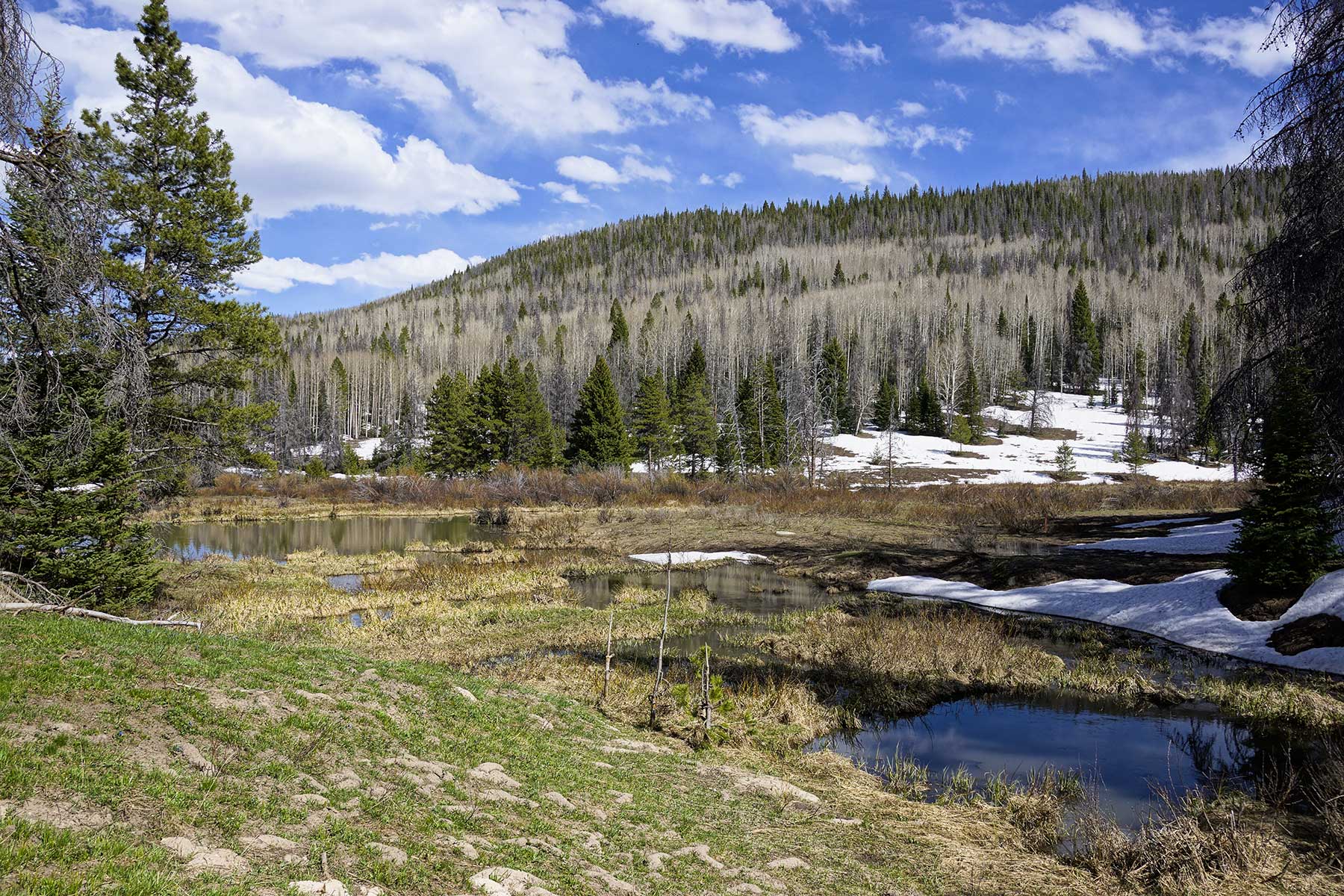 Sand Mountain Retreat property picture 23 of 23