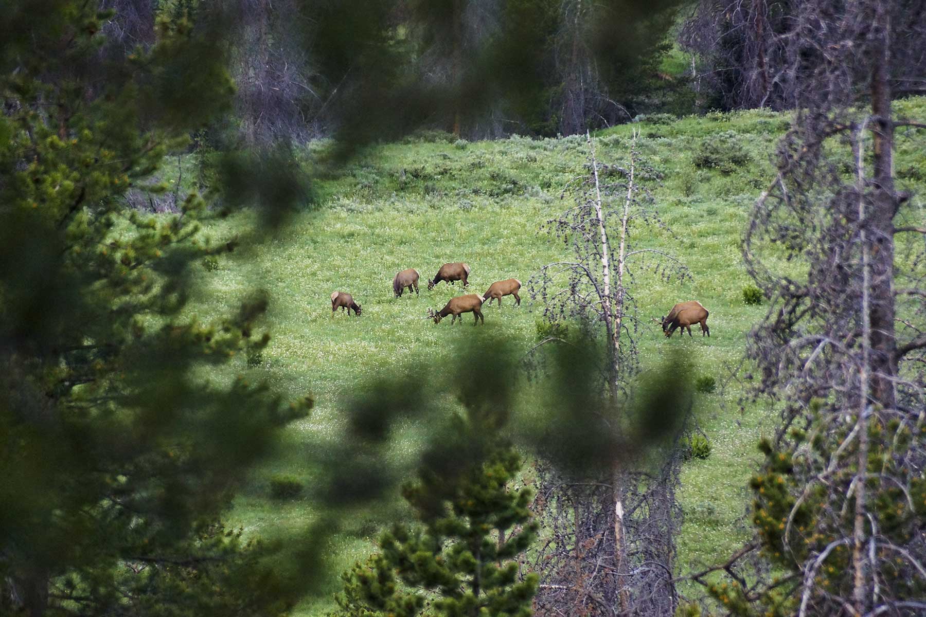 Sand Mountain Retreat property picture 16 of 23