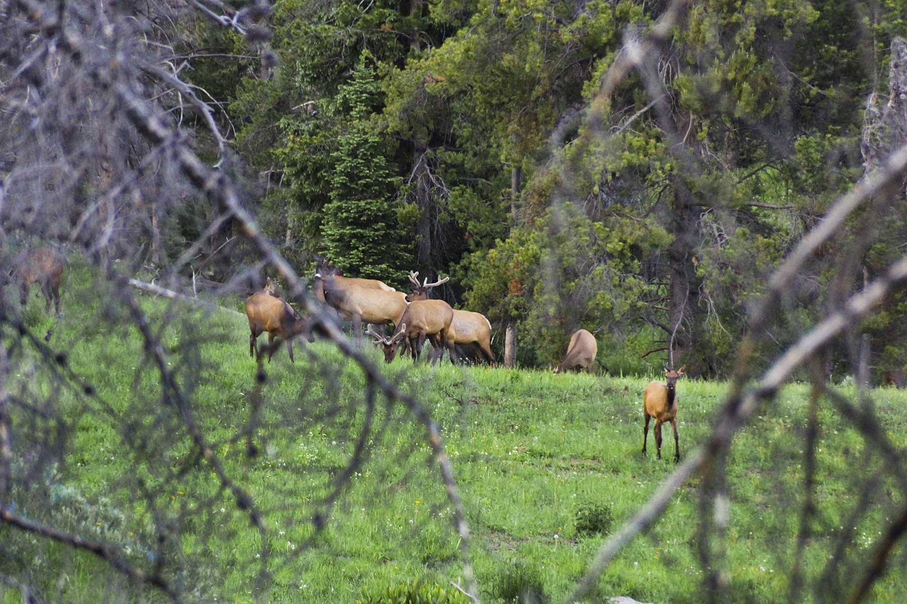 Sand Mountain Retreat property picture 9 of 23