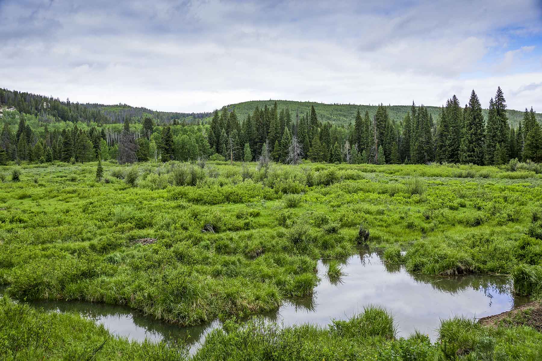 Sand Mountain Retreat property picture 12 of 23