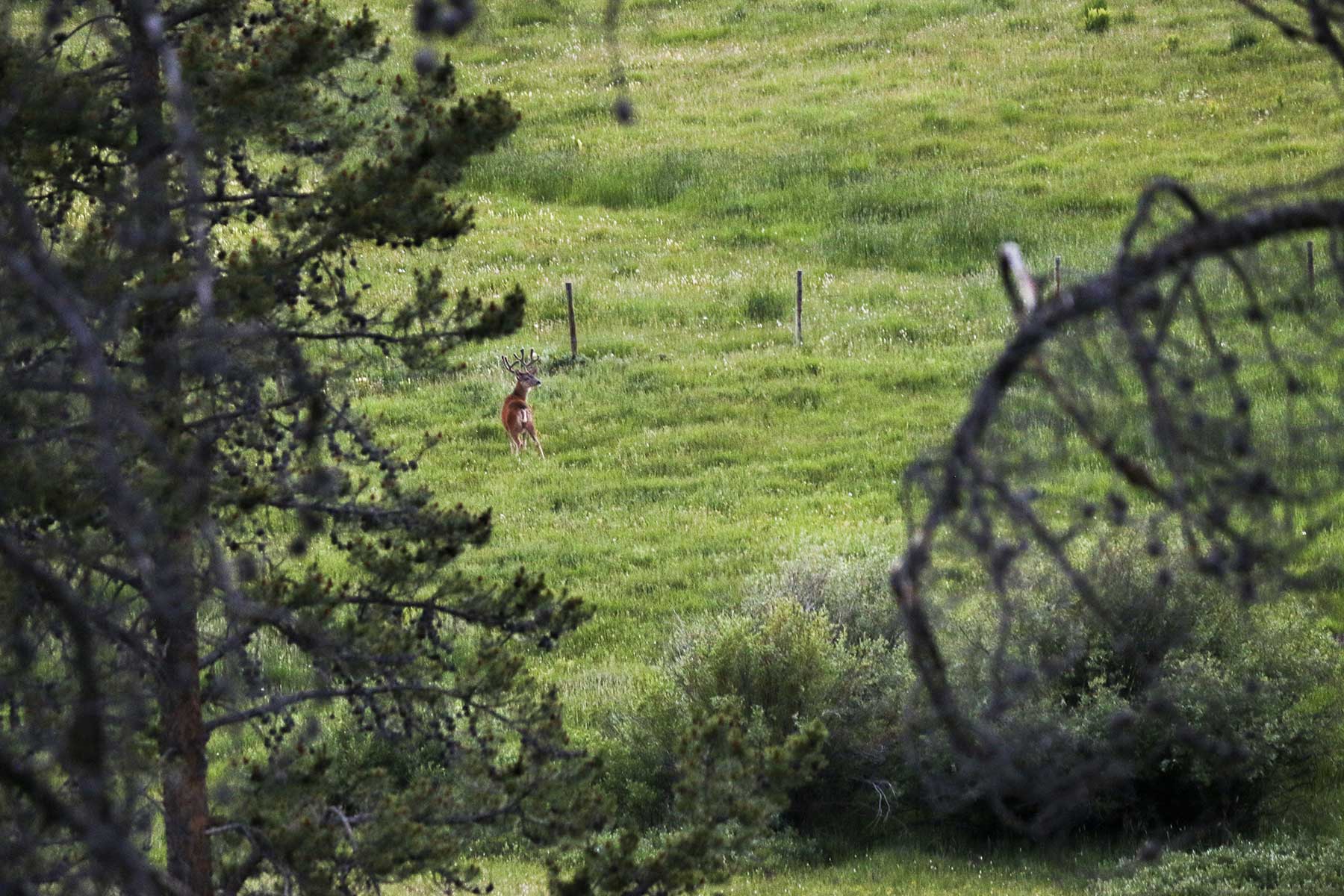 Sand Mountain Retreat property picture 19 of 23