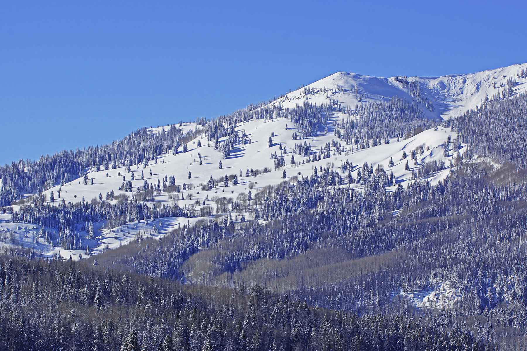 Sand Mountain Retreat property picture 5 of 23