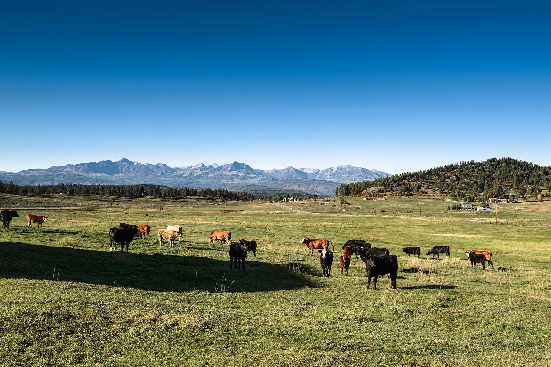 Jackson Creek Ranch property picture 2 of 44