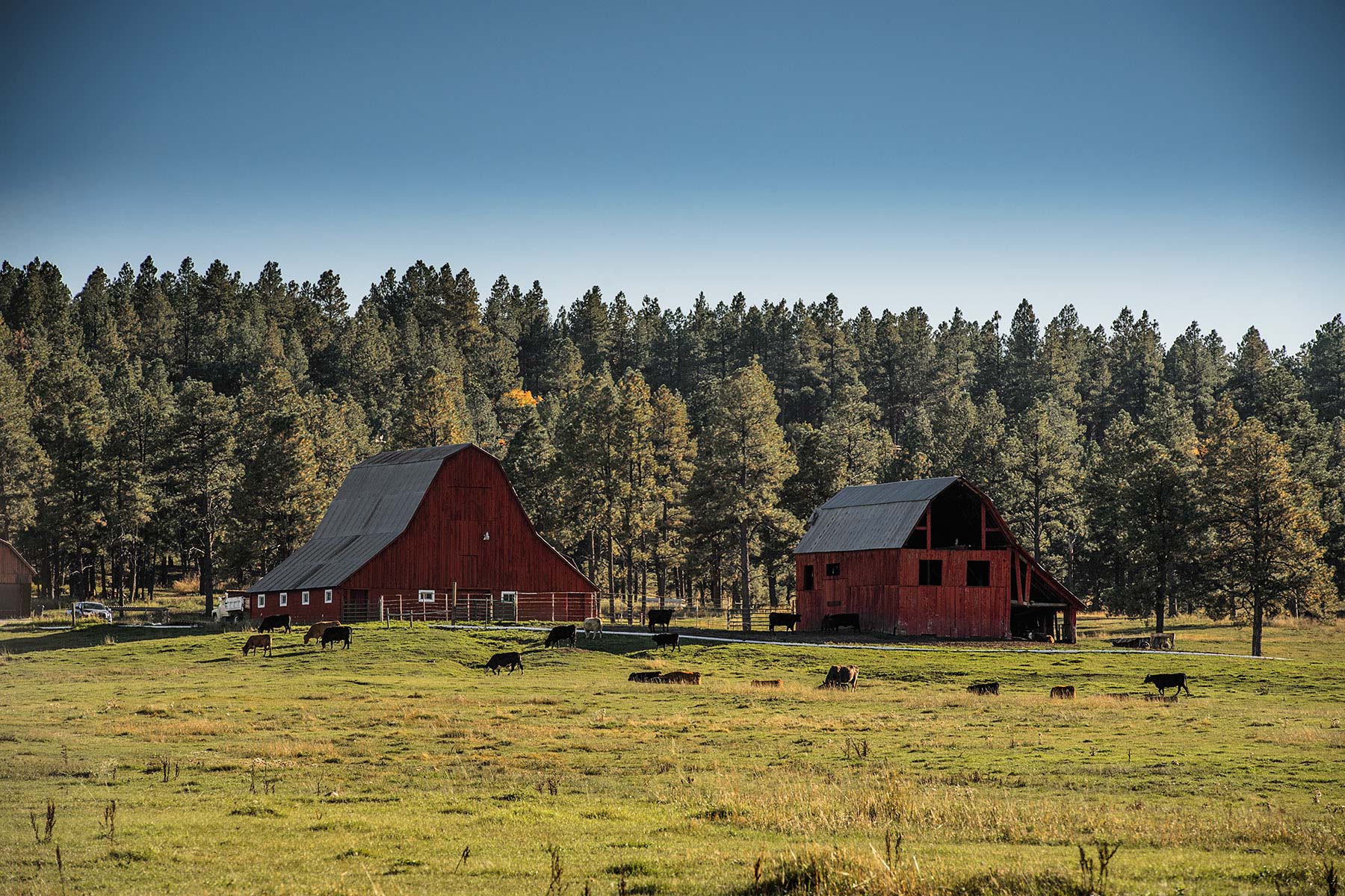 Jackson Creek Ranch property picture 3 of 44