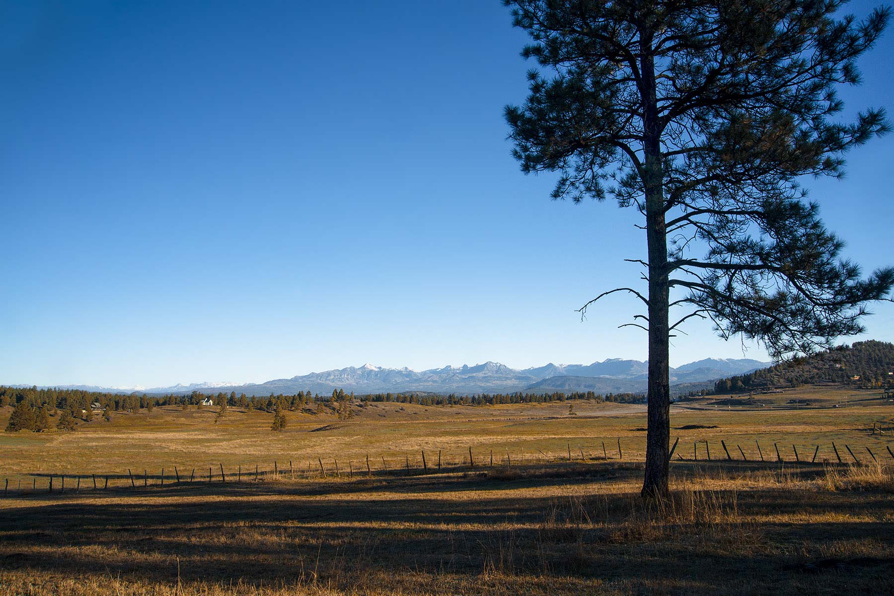Jackson Creek Ranch property picture 8 of 44