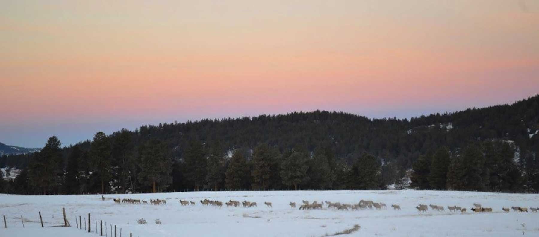 Jackson Creek Ranch property picture 12 of 44