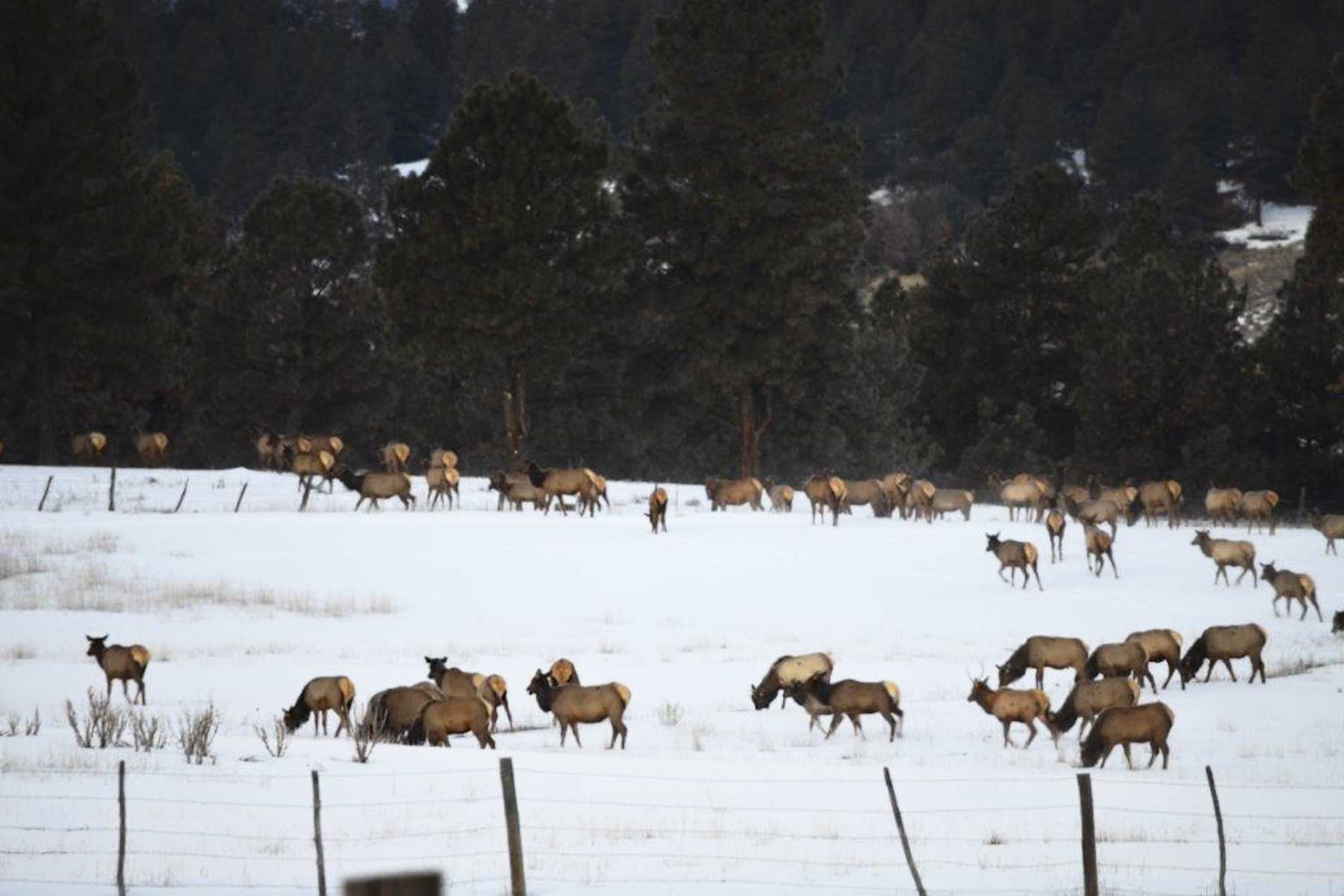 Jackson Creek Ranch property picture 13 of 44
