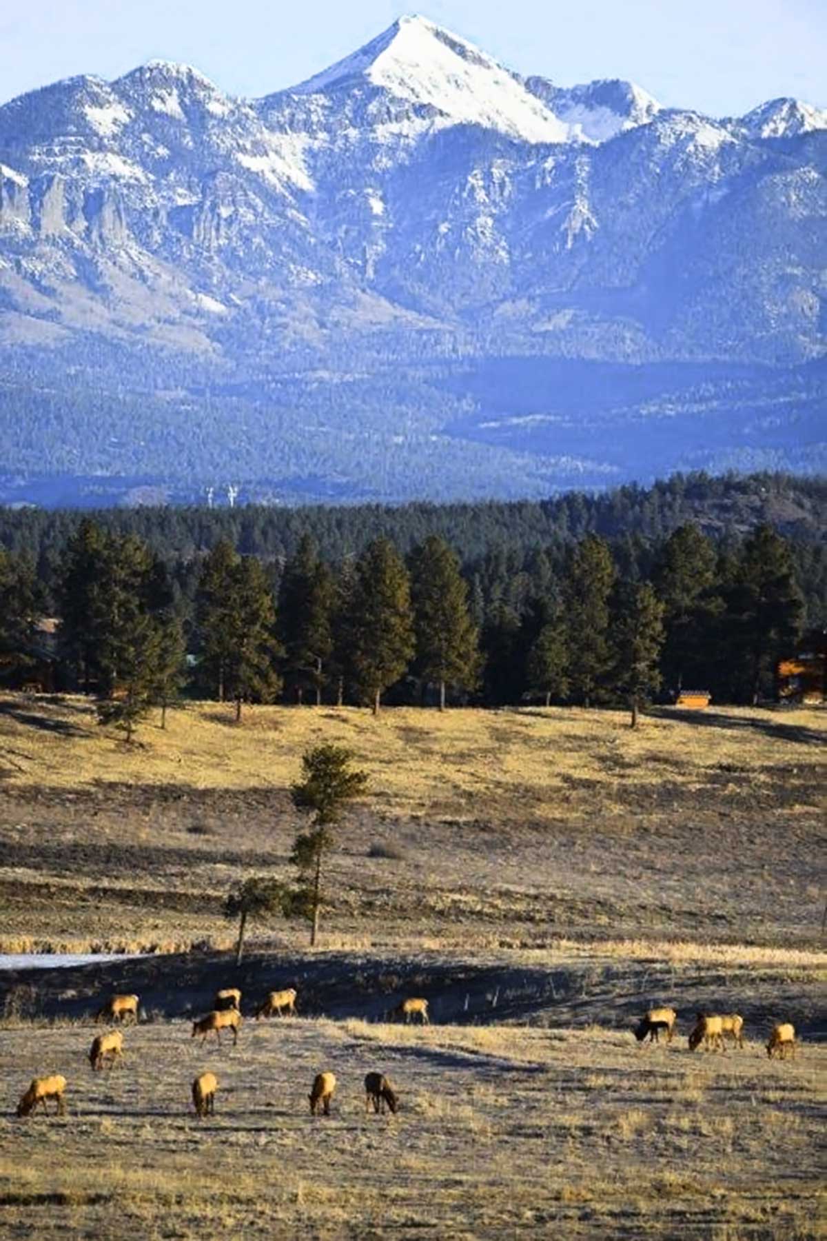 Jackson Creek Ranch property picture 14 of 44