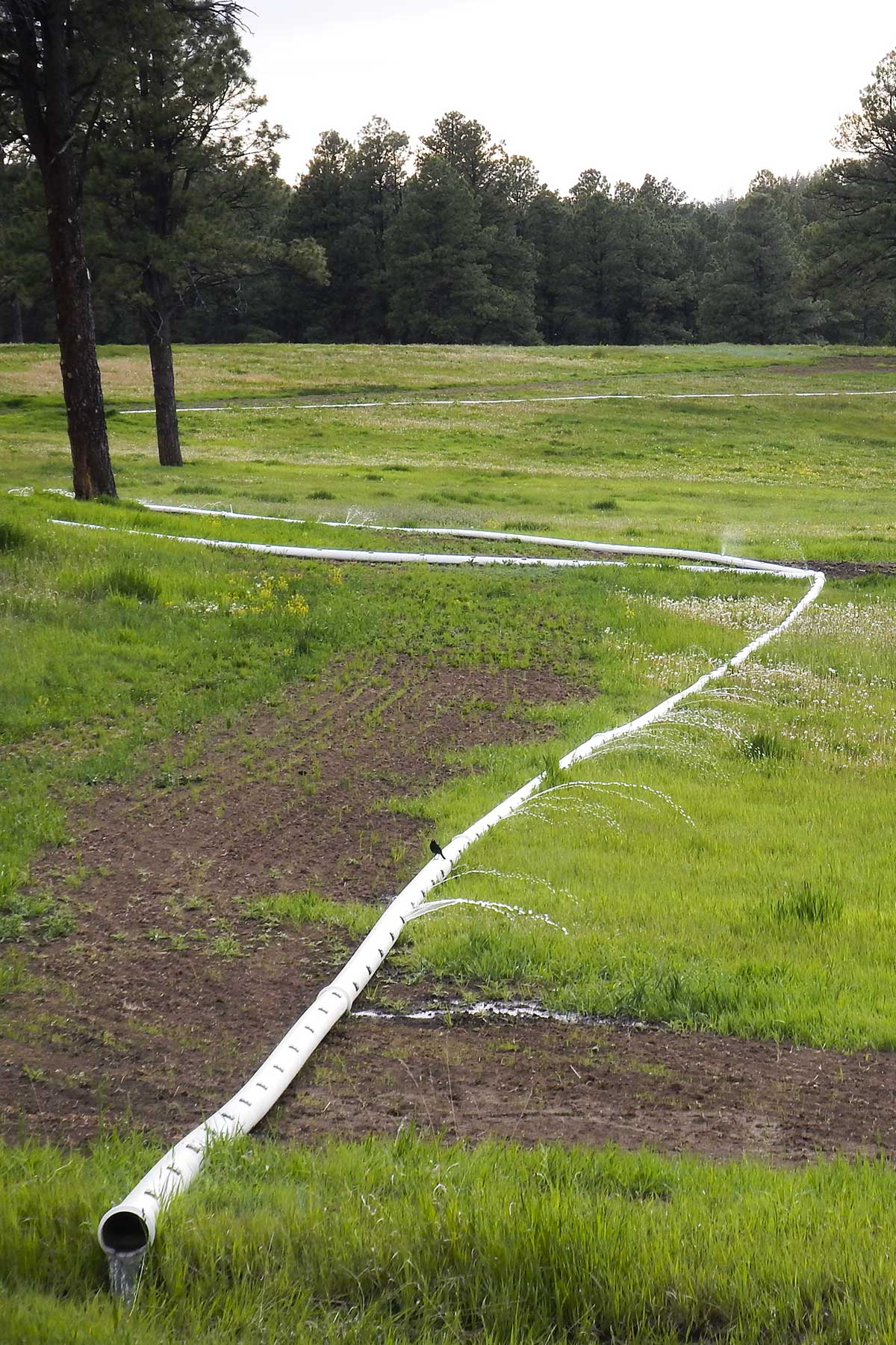 Jackson Creek Ranch property picture 15 of 44