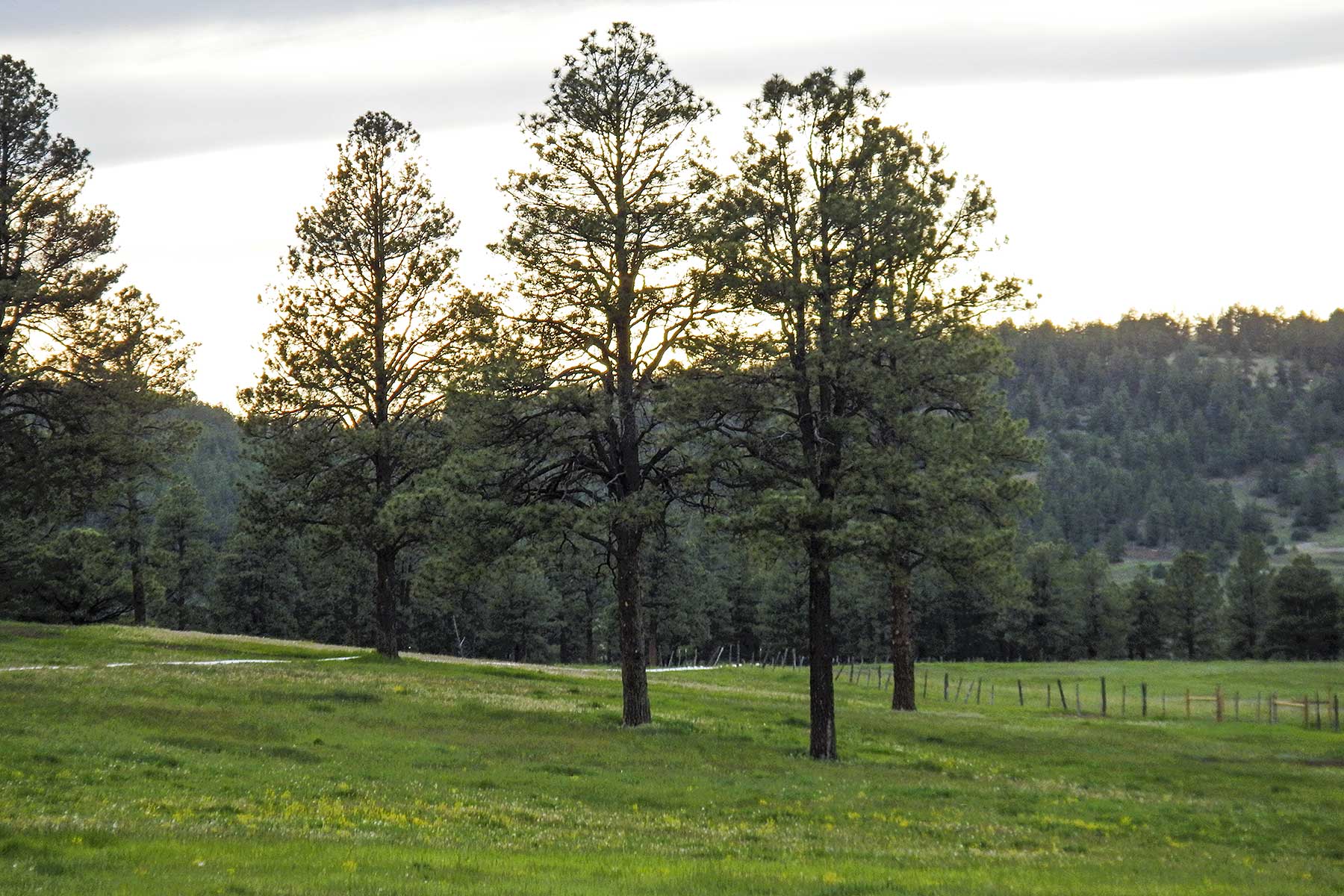 Jackson Creek Ranch property picture 17 of 44